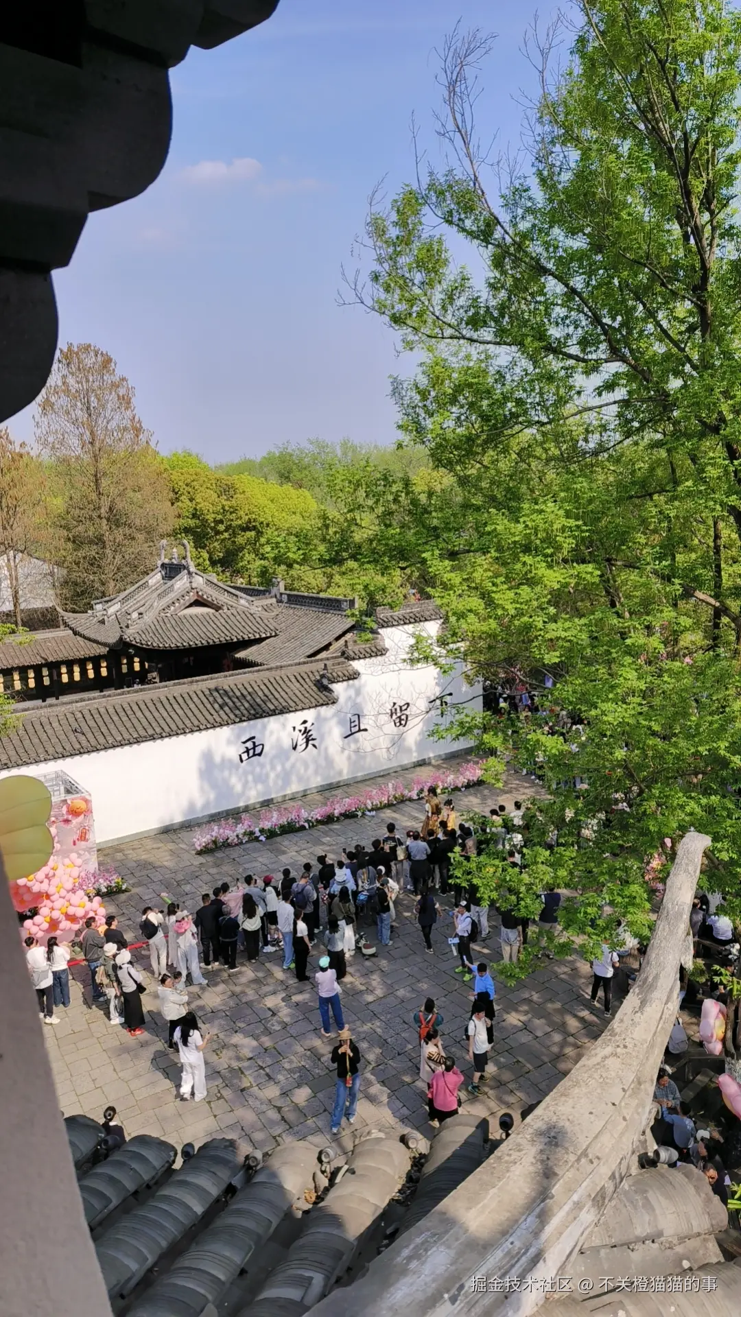 不关橙猫猫的事于2026-03-30 10:59发布的图片