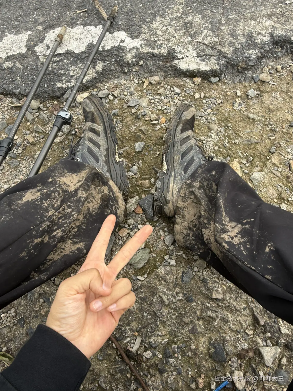 菲菲大王于2025-11-03 03:04发布的图片