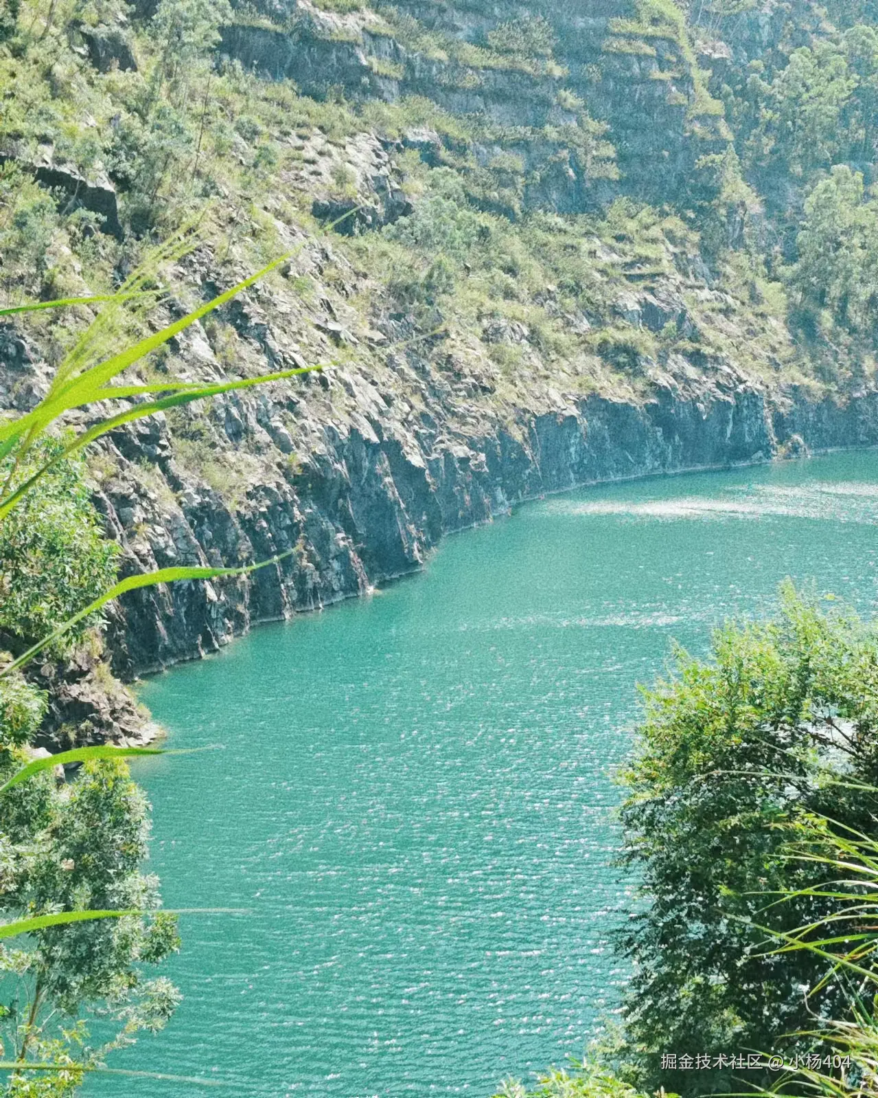 小杨404于2024-10-27 08:28发布的图片