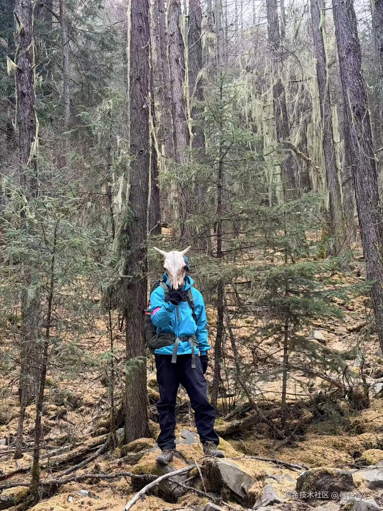 阿怪Lyc_于2025-12-30 10:21发布的图片