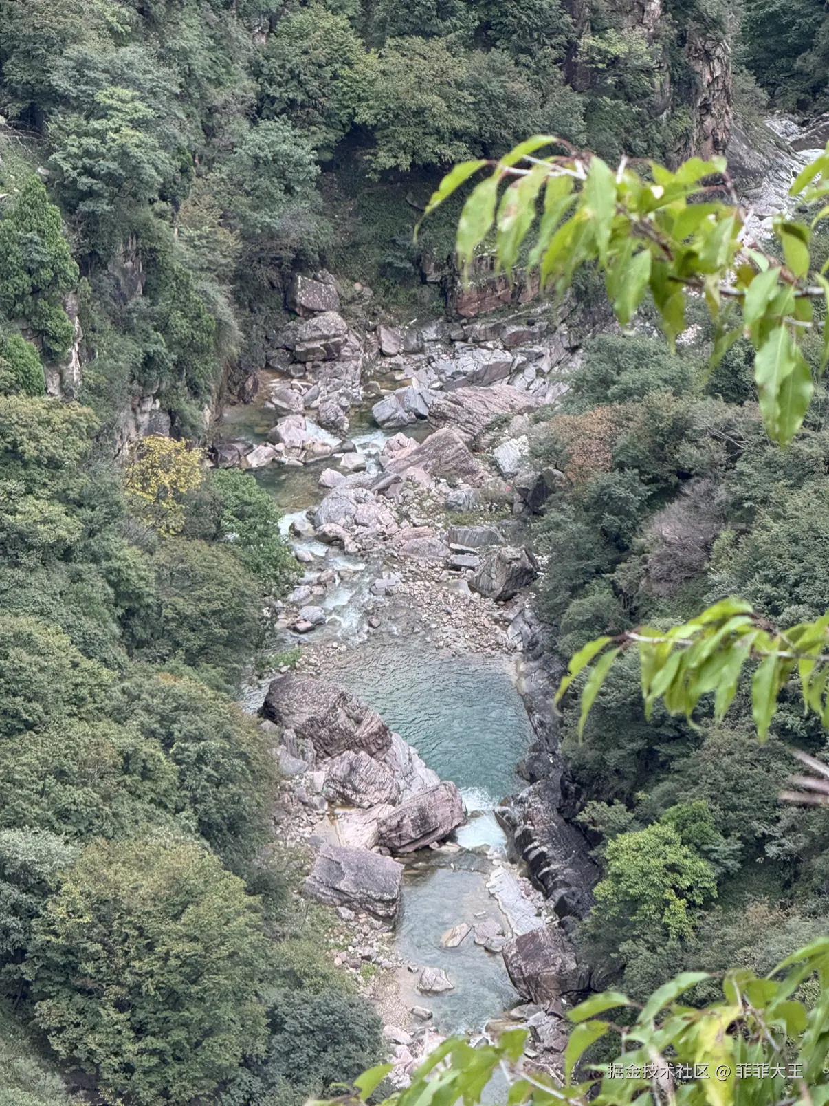 菲菲大王于2025-10-09 11:40发布的图片