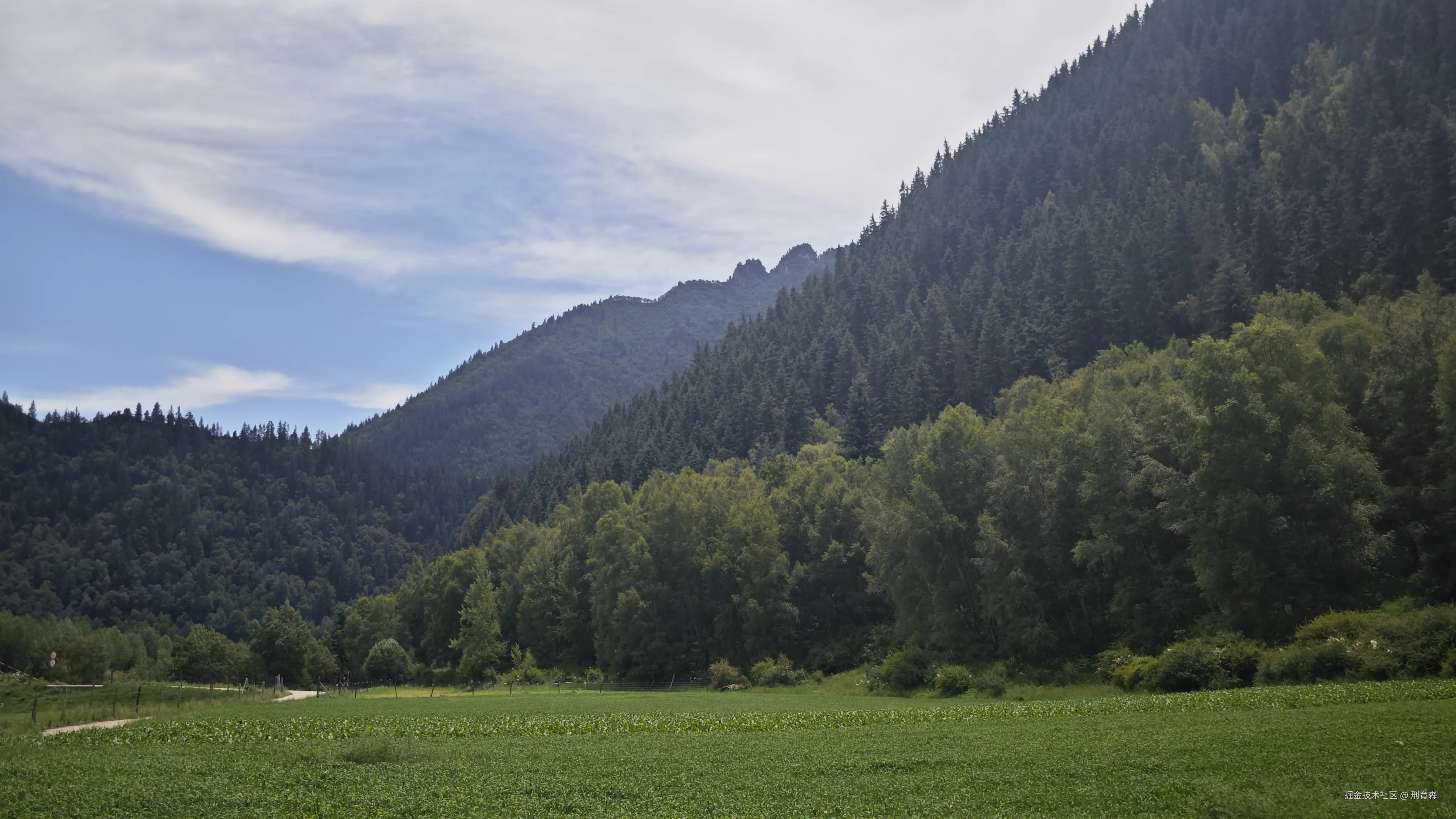 刑育森于2025-07-14 08:52发布的图片