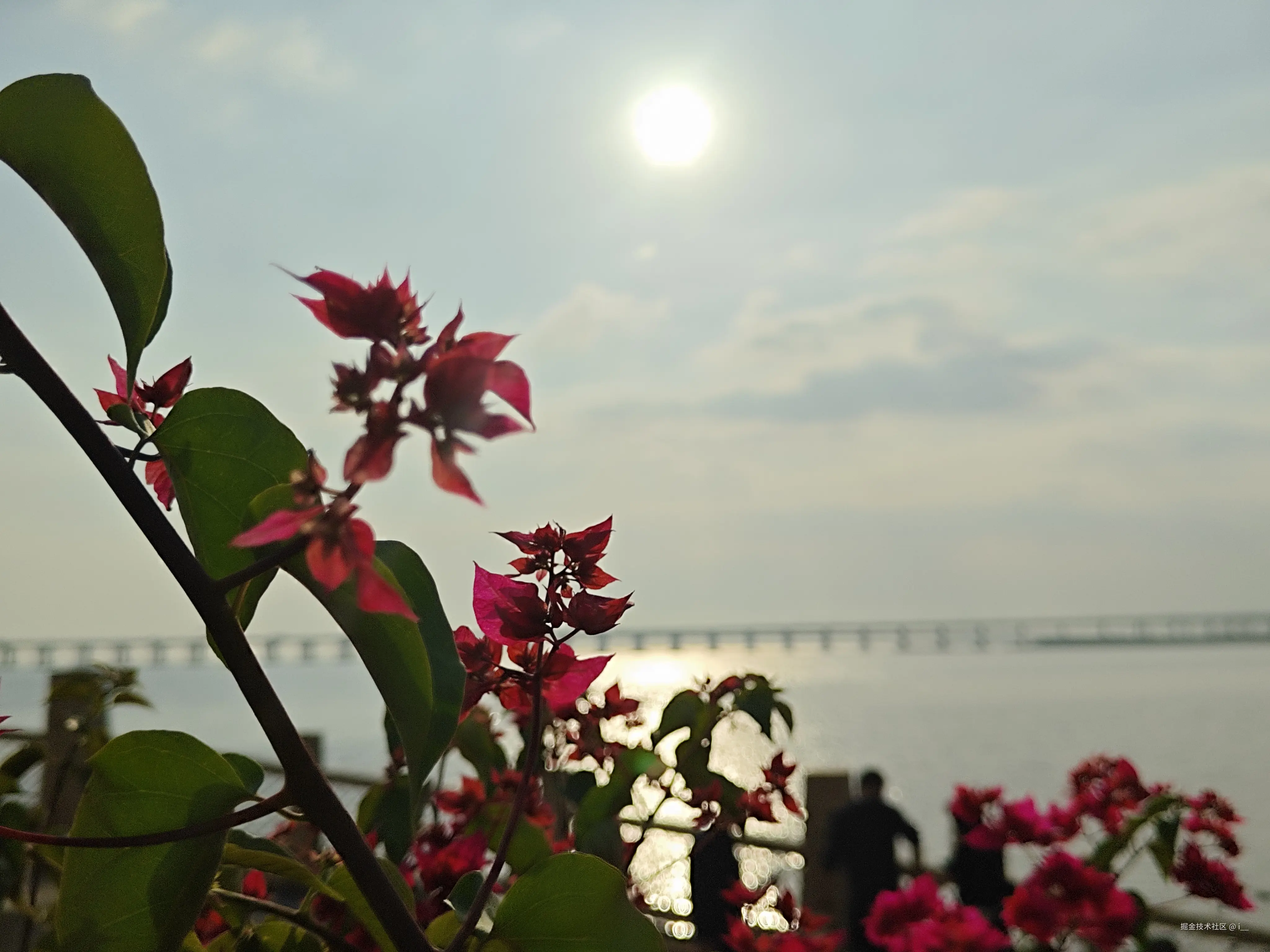 i__于2025-12-30 13:45发布的图片