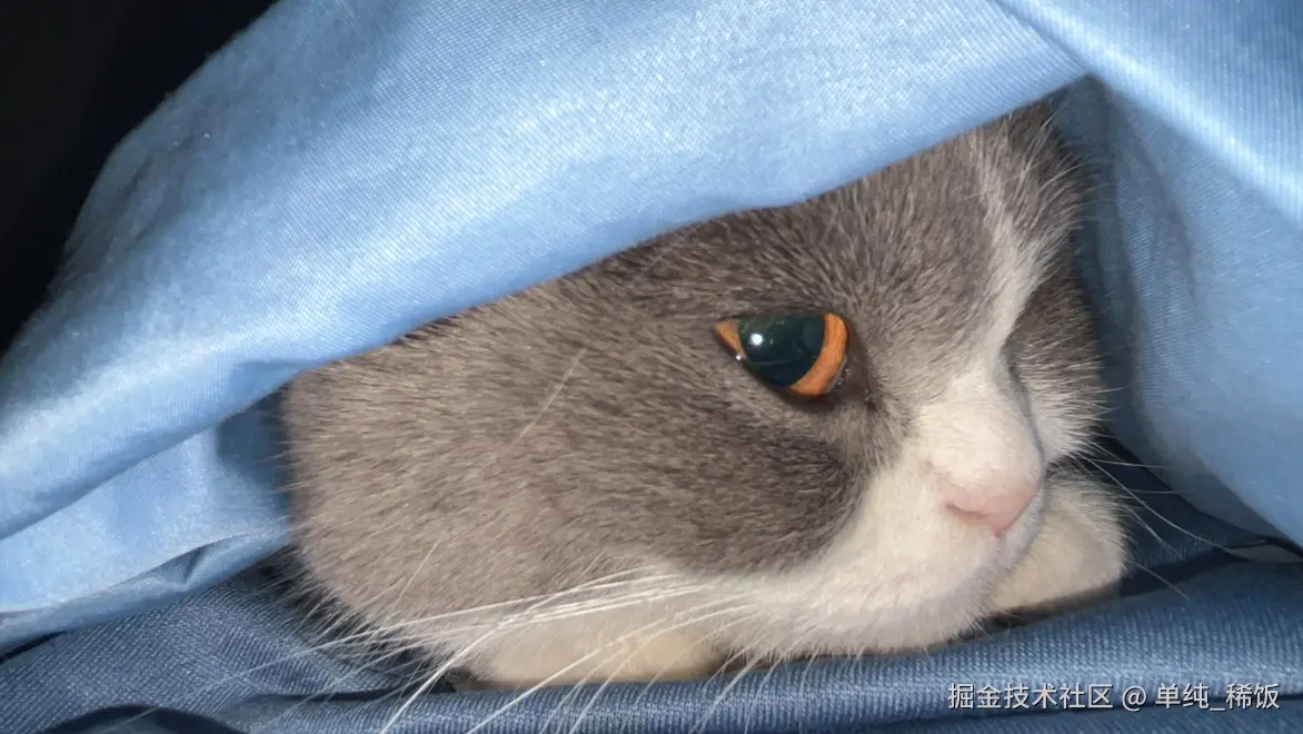 单纯_稀饭于2024-12-23 08:59发布的图片