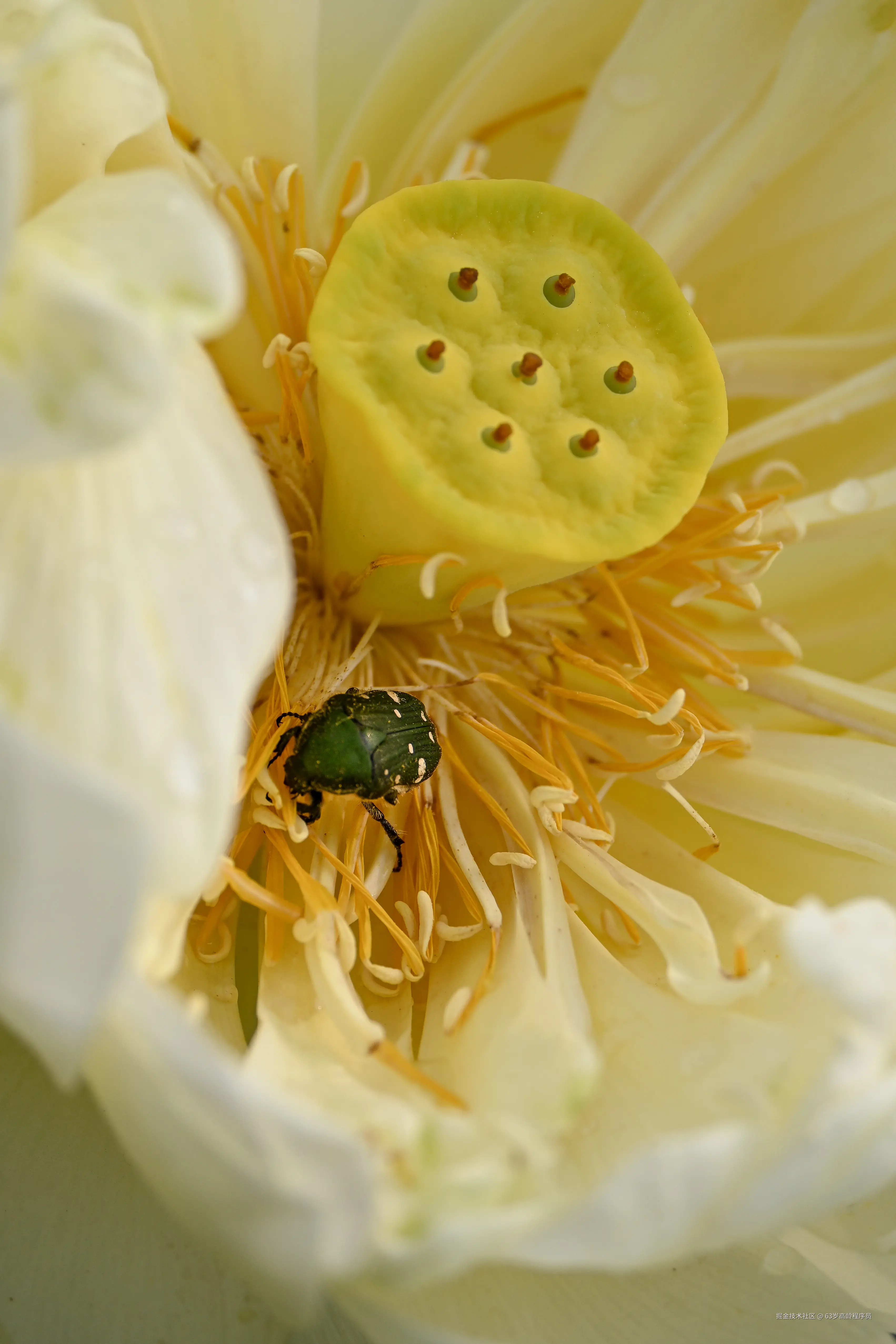 63岁高龄程序员于2025-06-30 16:37发布的图片