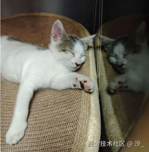 汐_于2025-07-02 12:52发布的图片