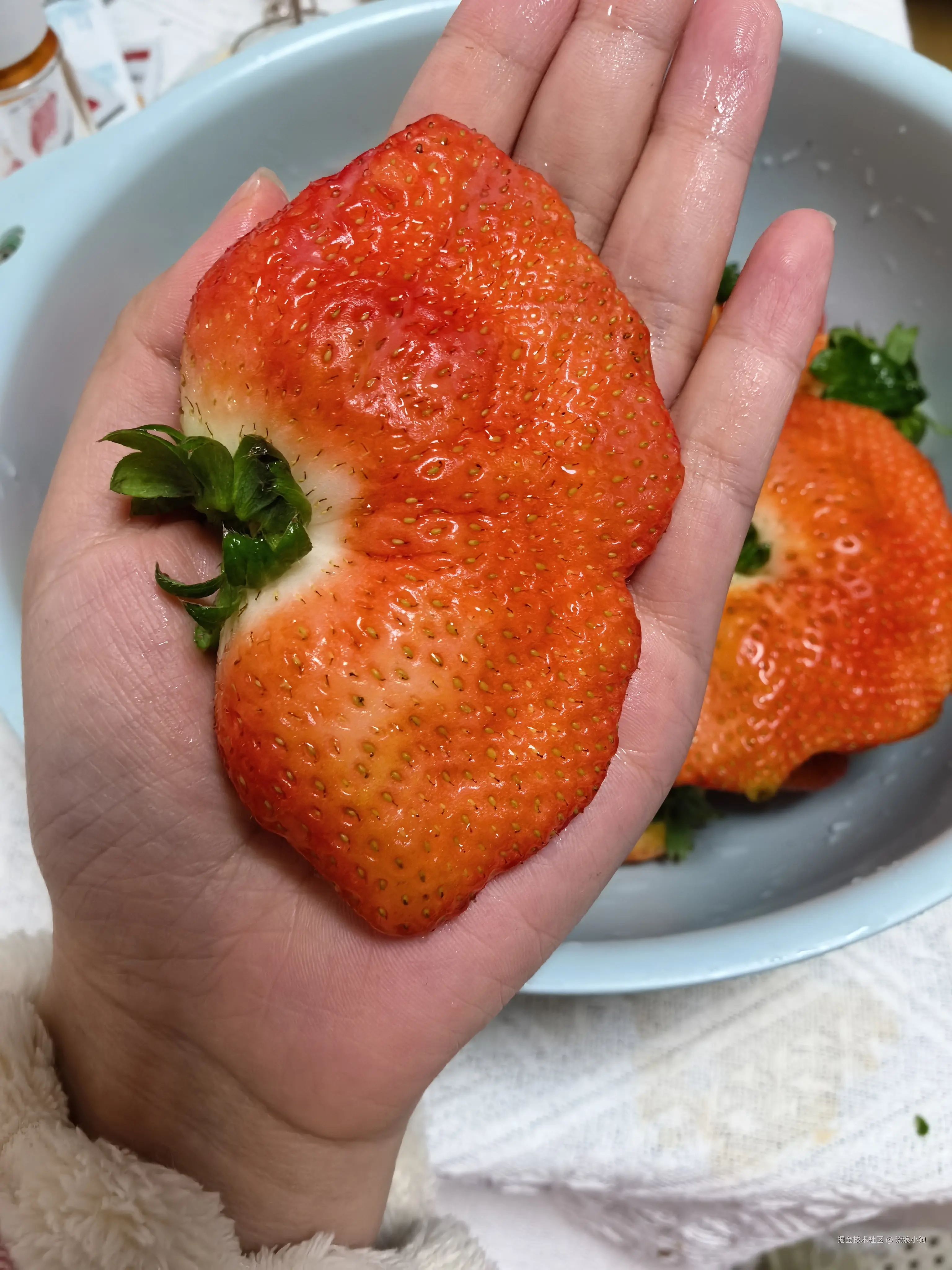 流浪小狗于2025-01-15 10:36发布的图片