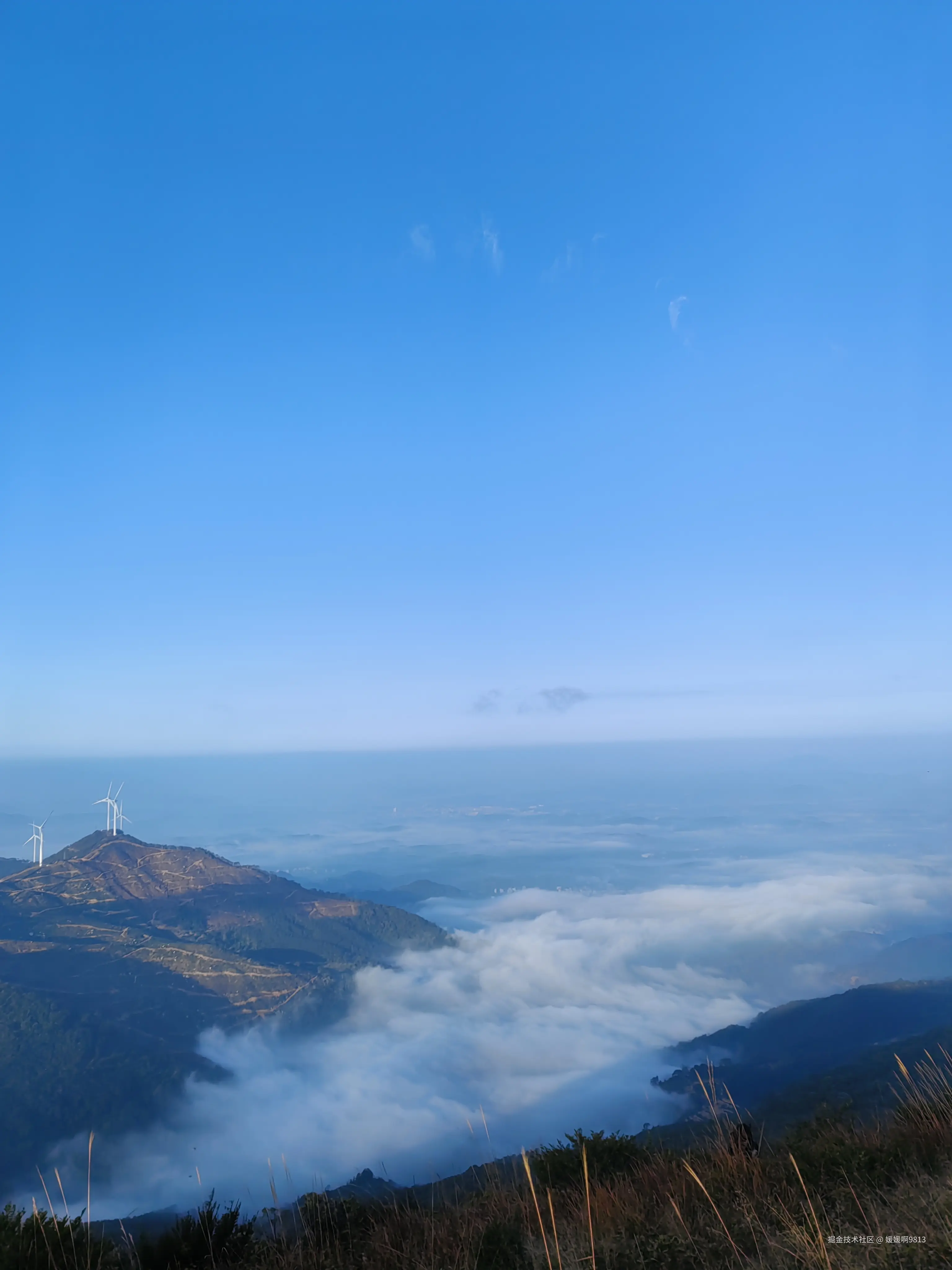 媛媛啊9813于2025-12-20 22:21发布的图片