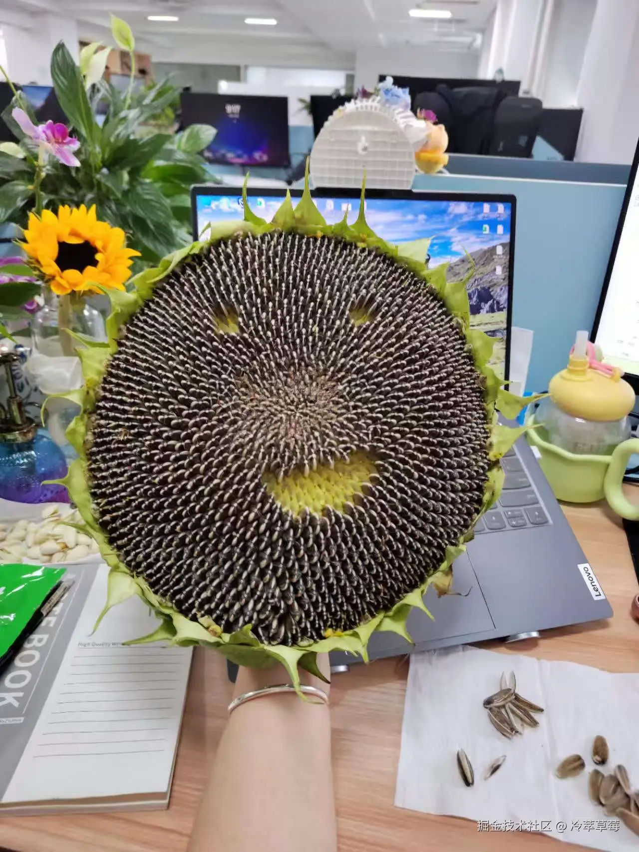 冷萃草莓于2025-07-15 09:33发布的图片