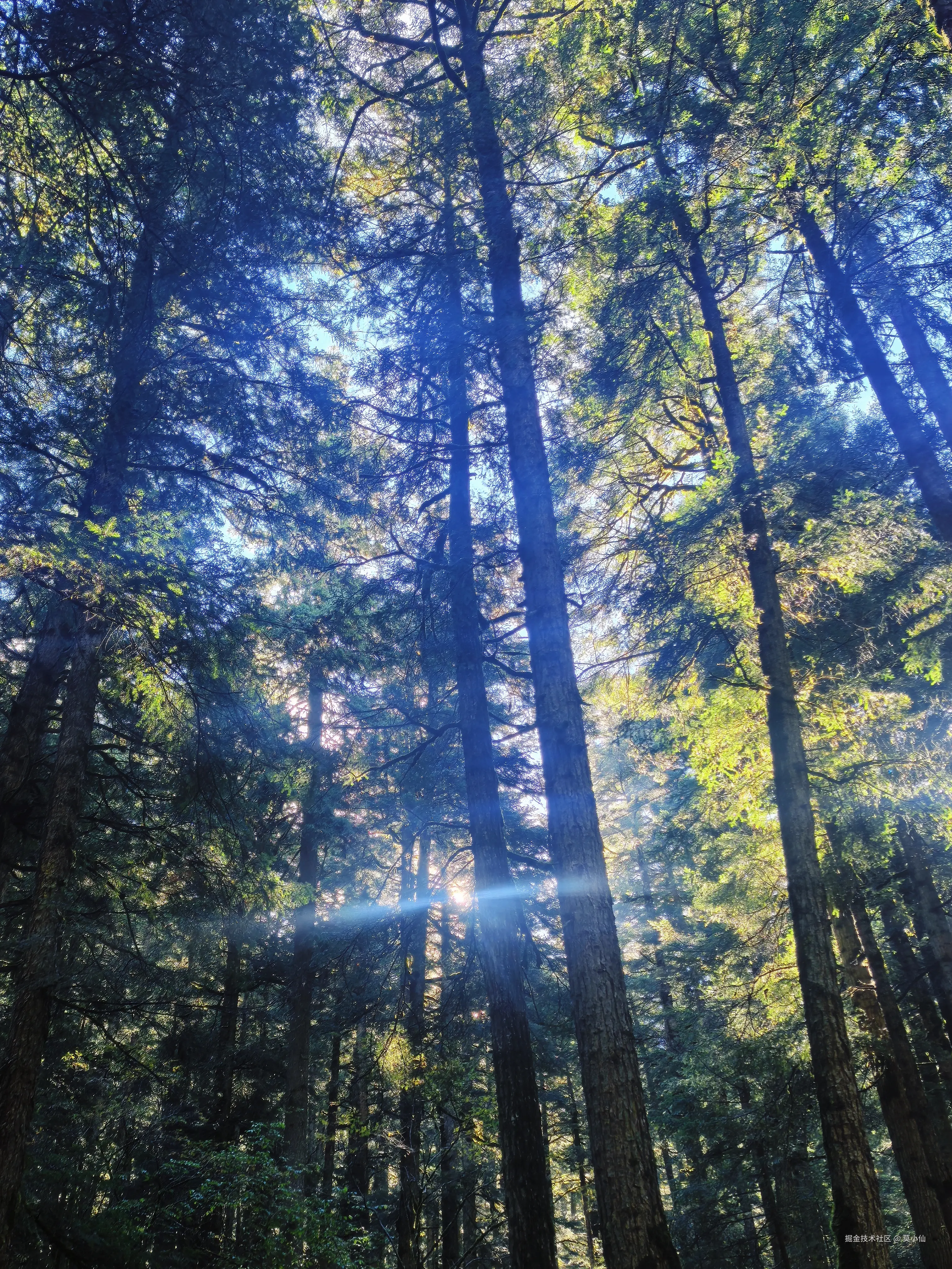 莫小仙于2025-10-09 02:54发布的图片