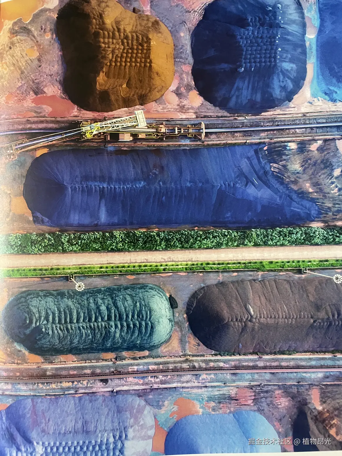 植物昂光于2026-04-13 20:53发布的图片