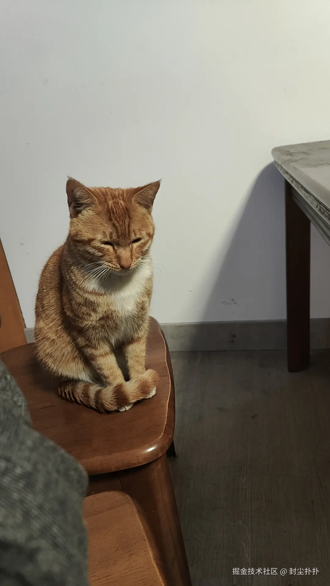 封尘扑扑于2025-12-31 11:26发布的图片