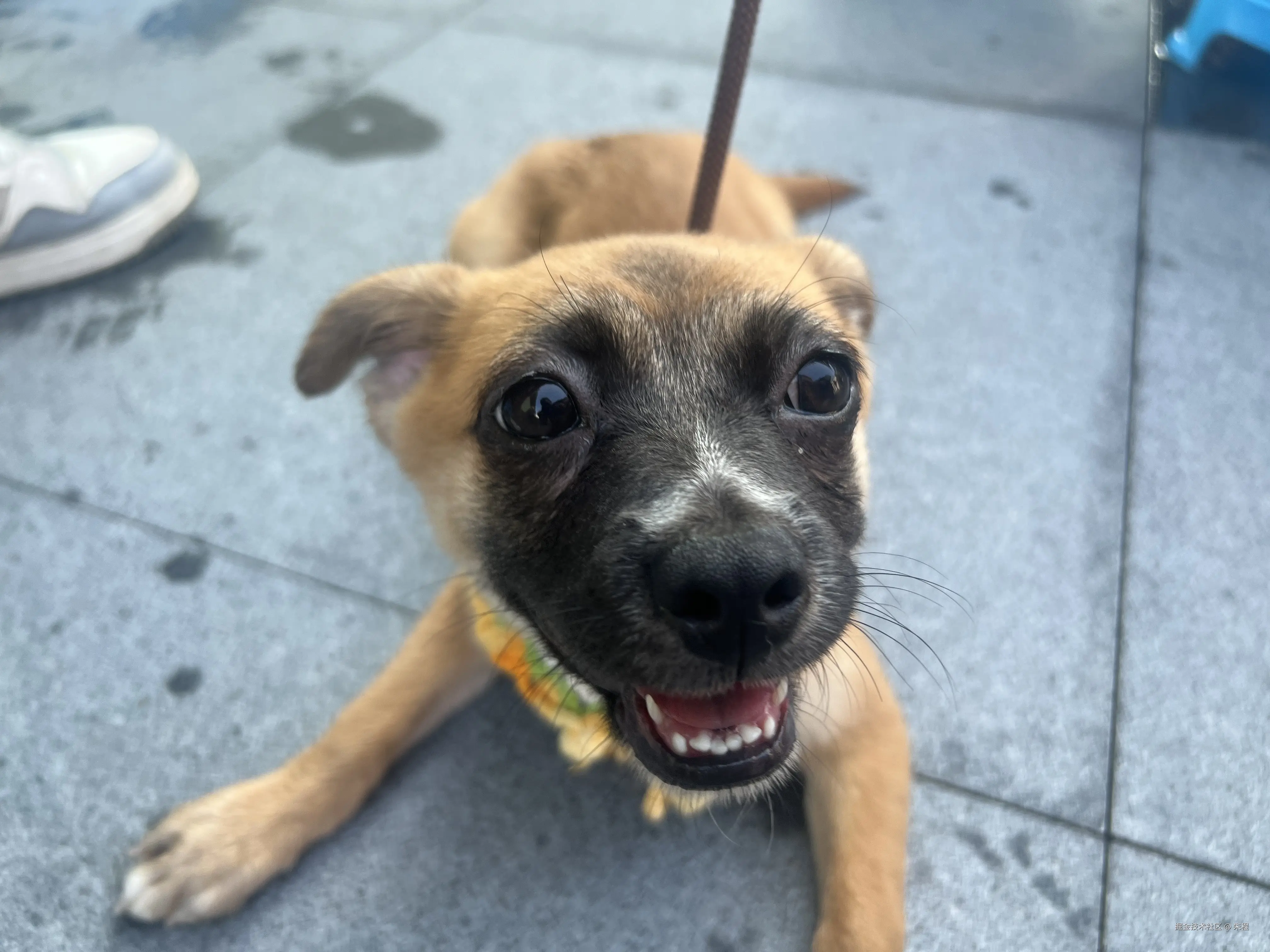 写给自己的 LangChain 教程