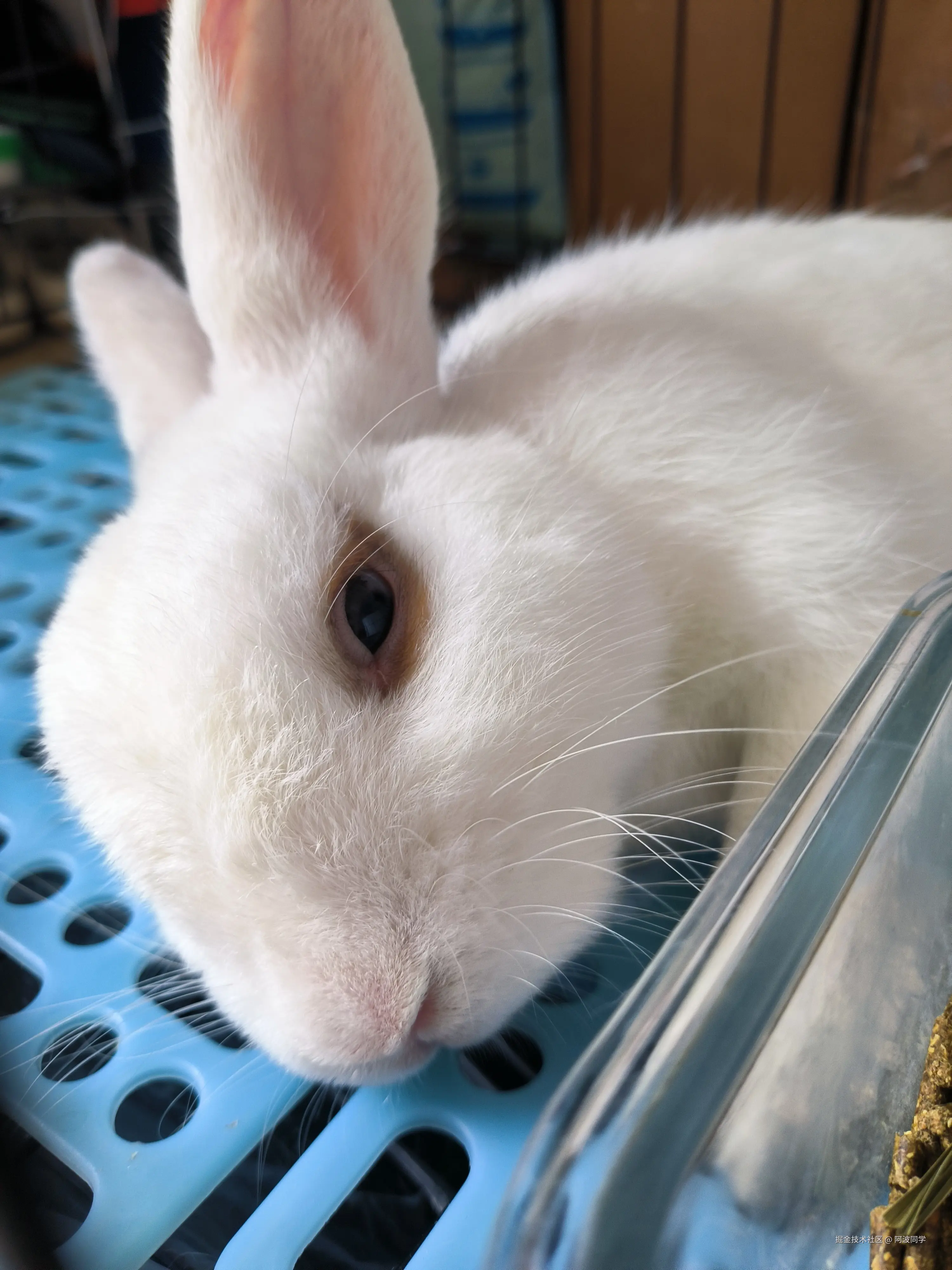 阿波同学于2024-11-18 20:40发布的图片