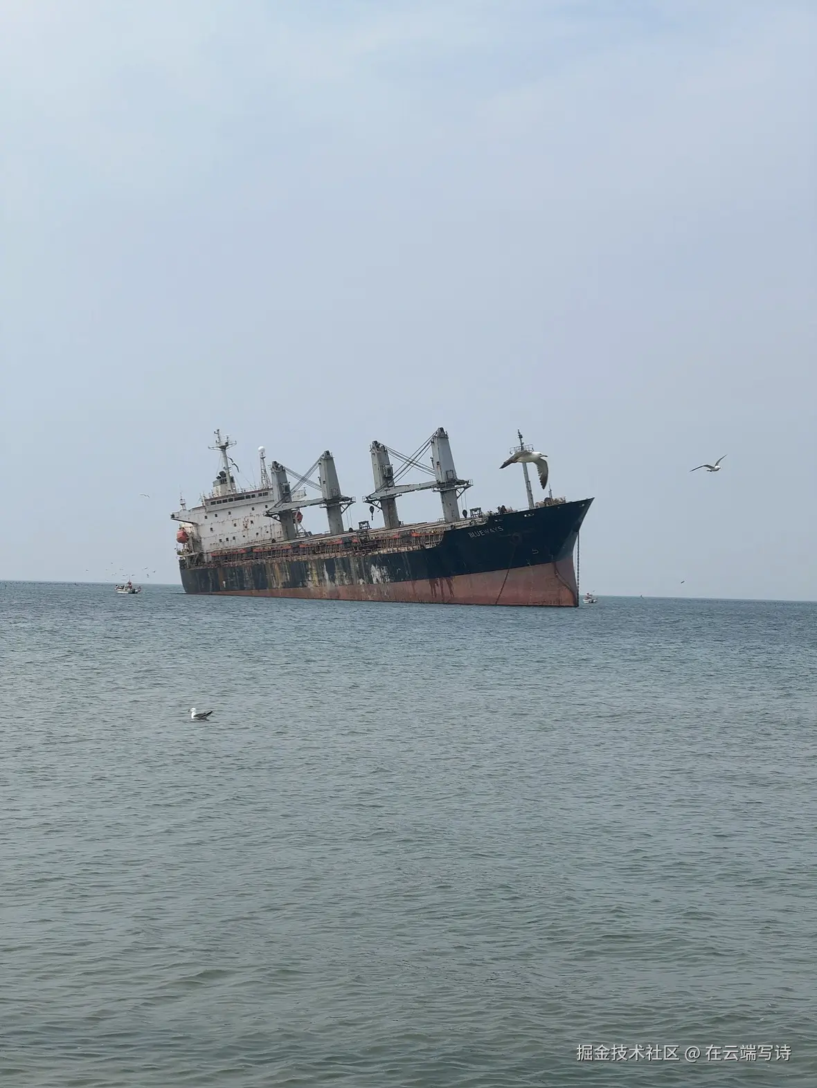 在云端写诗于2025-06-03 17:35发布的图片