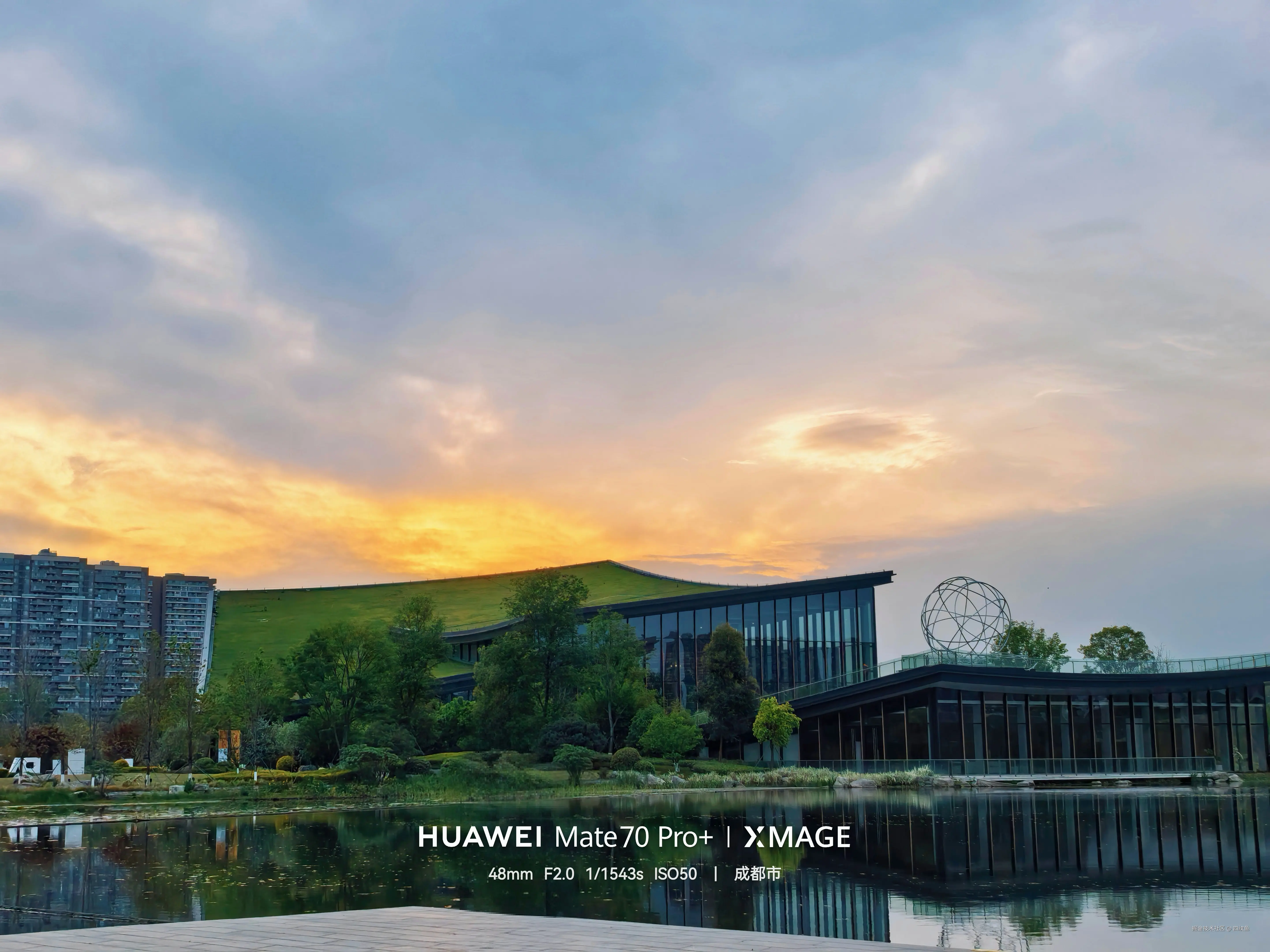 四纹鱼于2026-04-10 14:49发布的图片