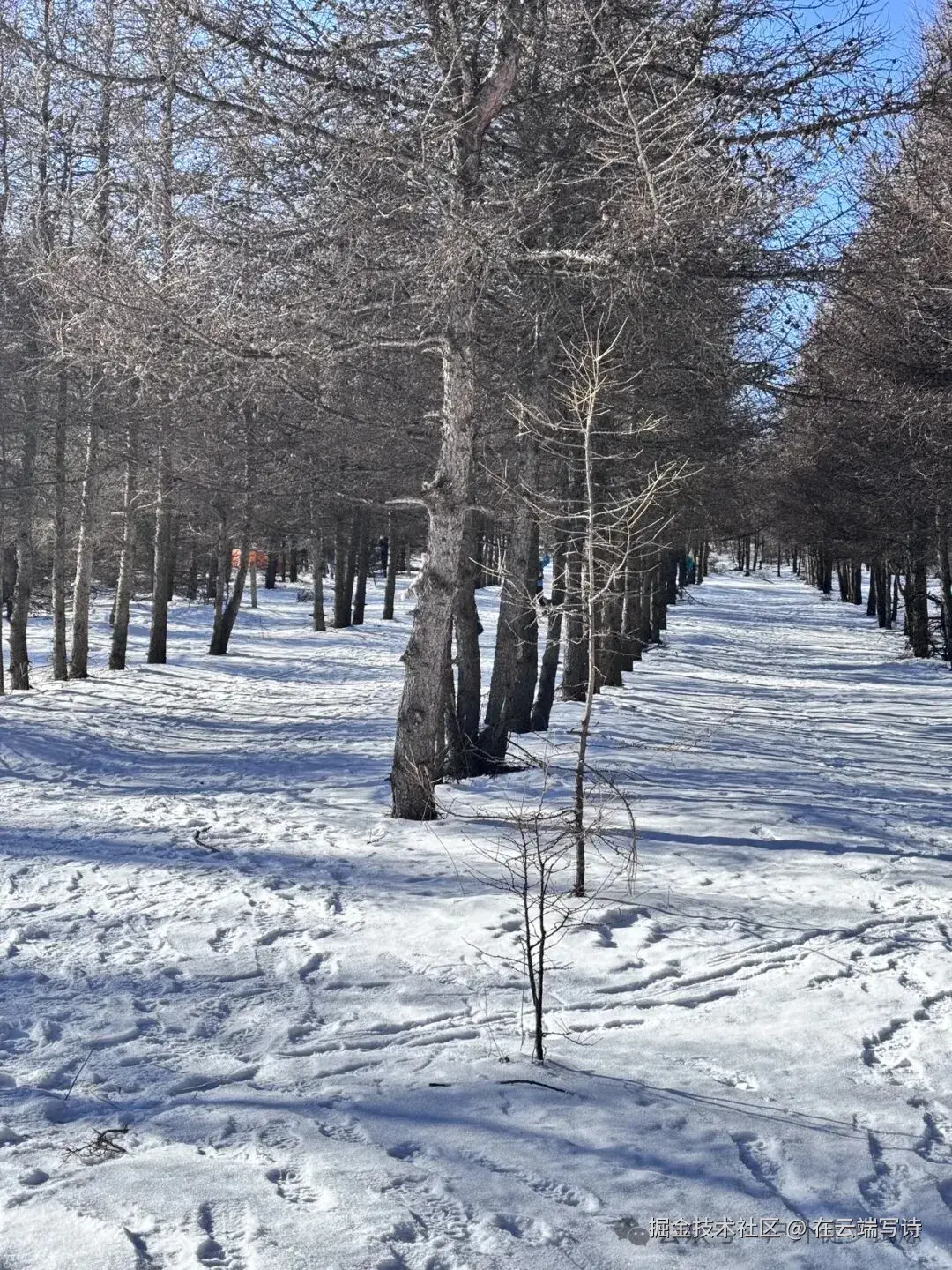 在云端写诗于2026-01-04 10:40发布的图片