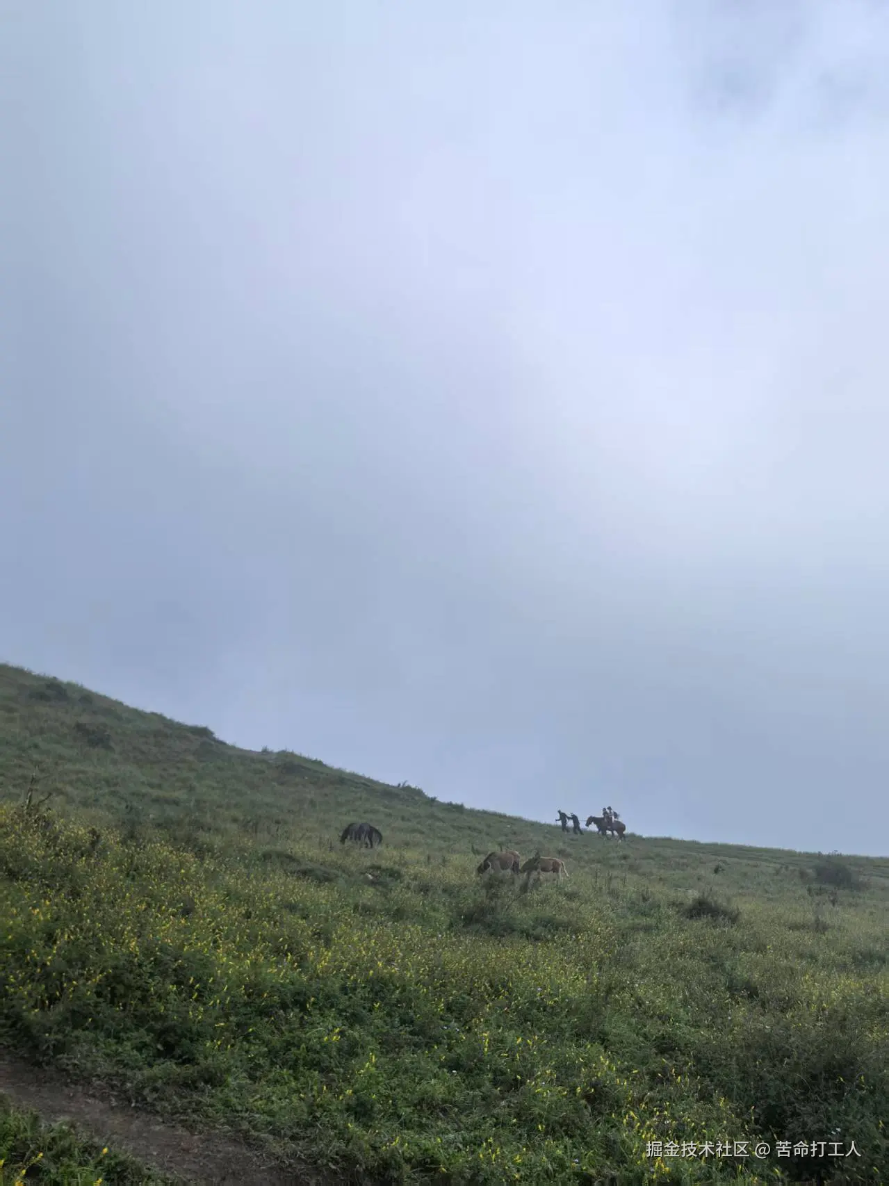 苦命打工人于2025-08-04 15:34发布的图片