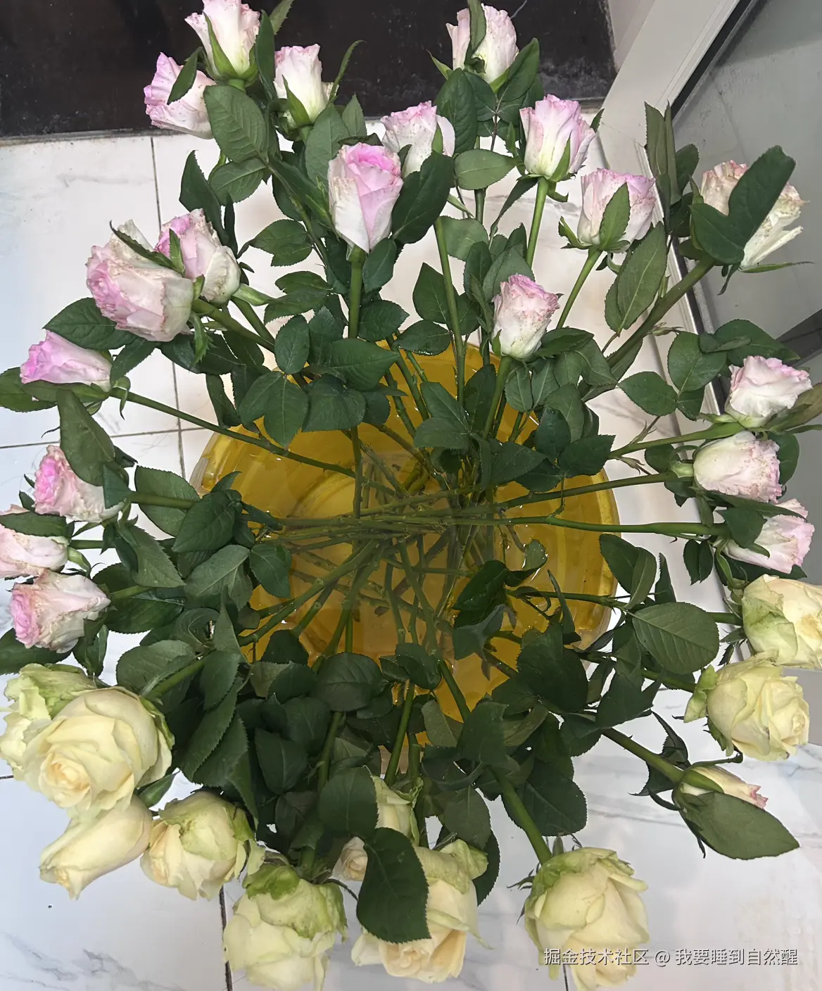 我要睡到自然醒于2024-11-04 19:40发布的图片