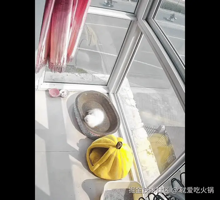 就爱吃火锅于2026-03-23 13:40发布的图片