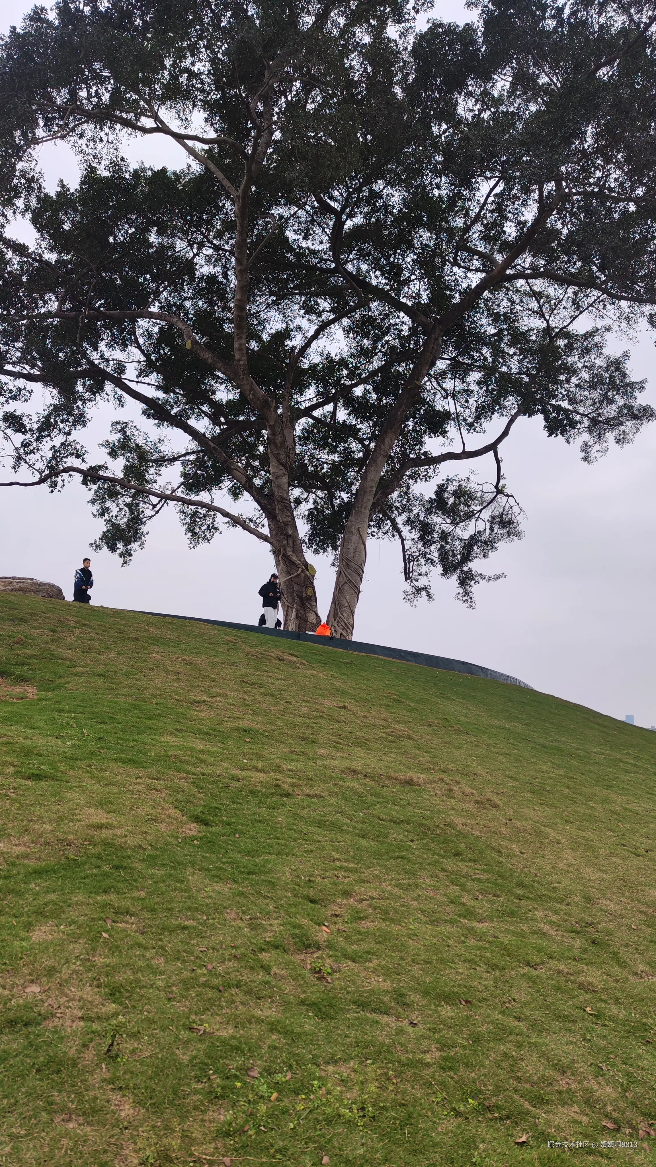 媛媛啊9813于2025-03-09 01:49发布的图片