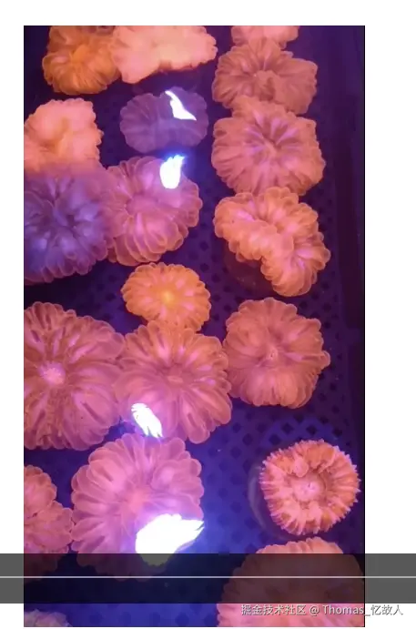 Thomas_忆故人于2024-10-24 16:36发布的图片