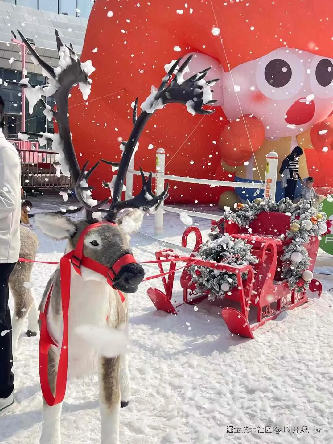 IM开源厂家于2024-12-06 16:46发布的图片