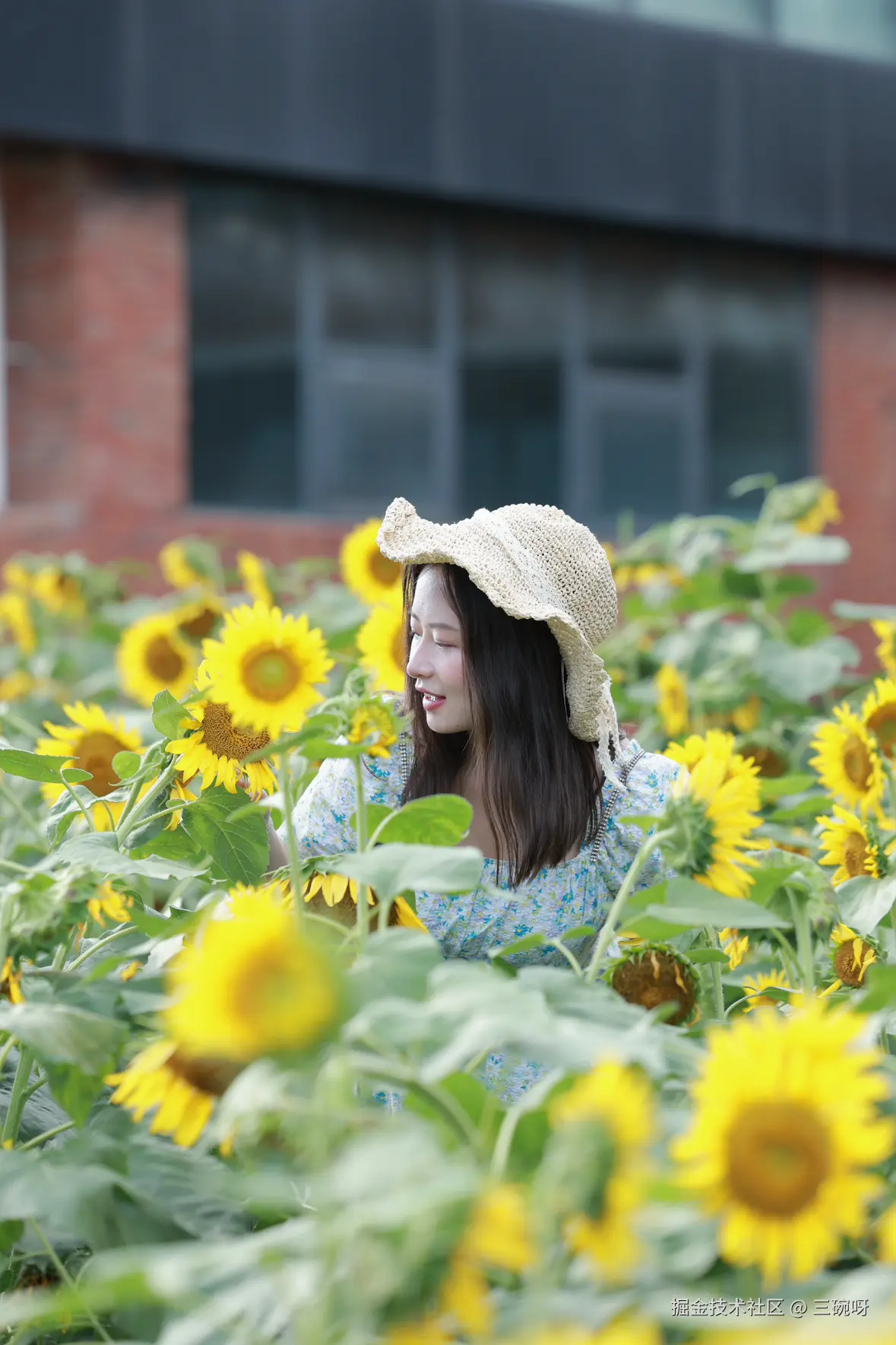 三碗呀于2025-07-09 10:10发布的图片