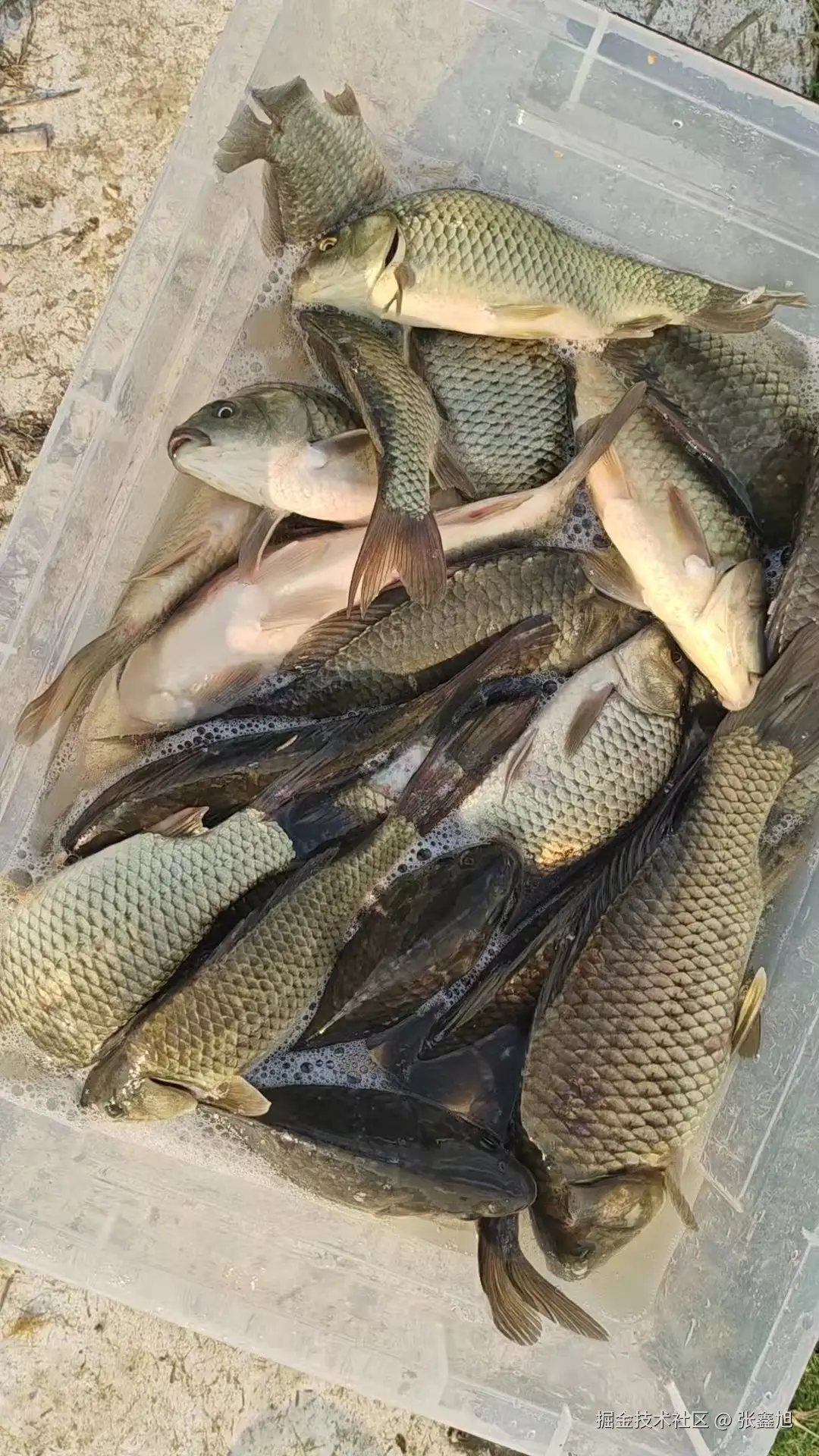 张鑫旭于2025-07-03 10:28发布的图片