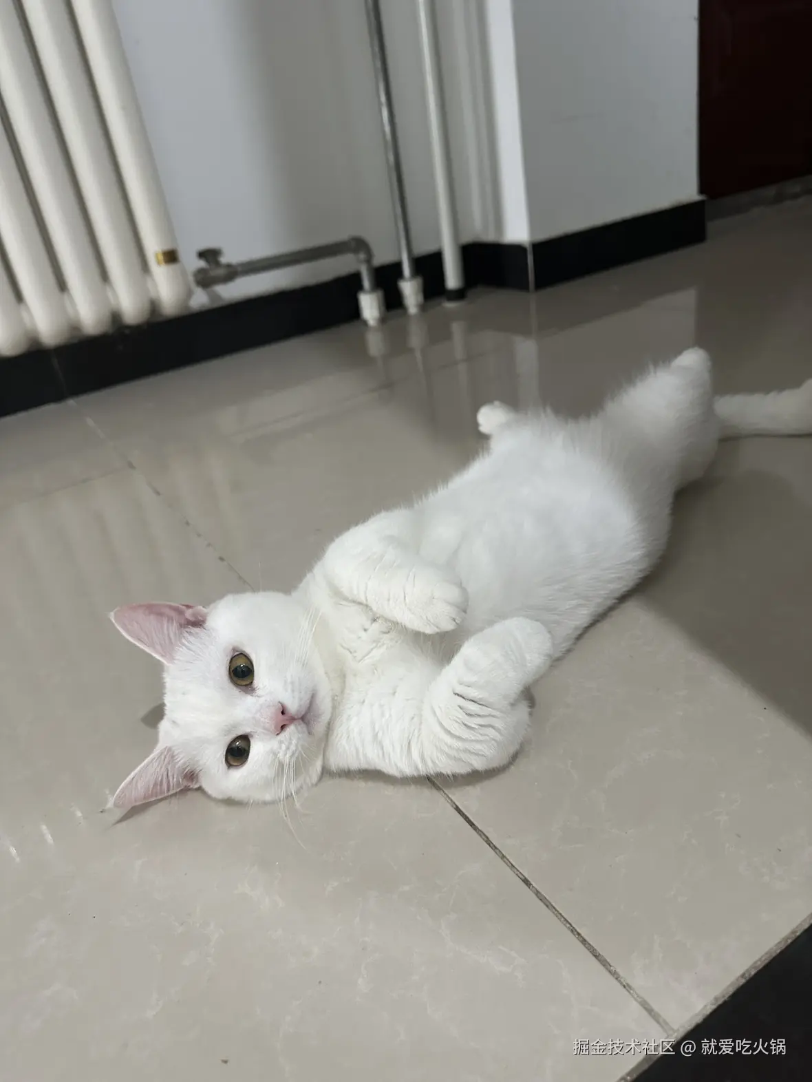 就爱吃火锅于2025-09-10 18:26发布的图片