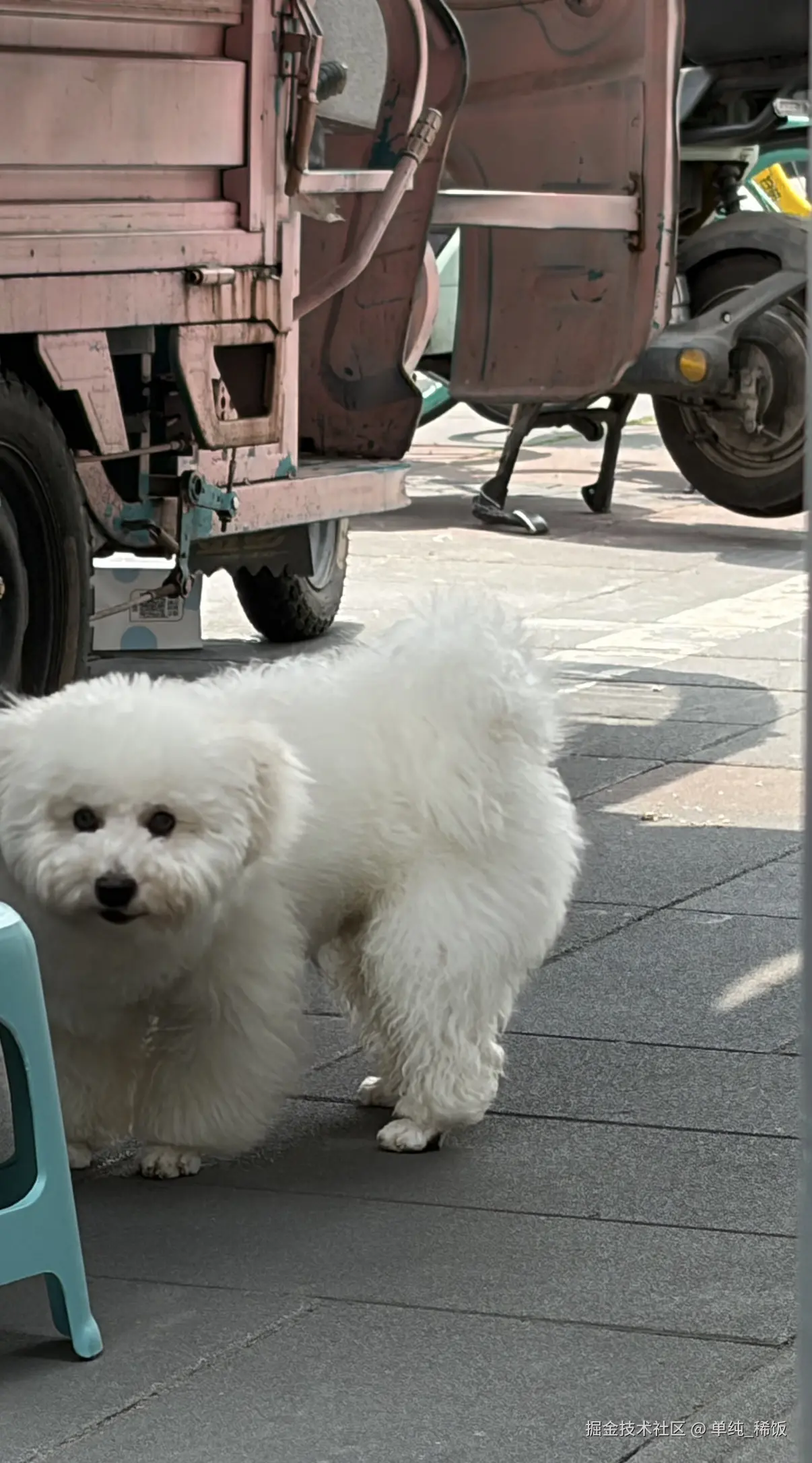 单纯_稀饭于2026-04-16 13:25发布的图片