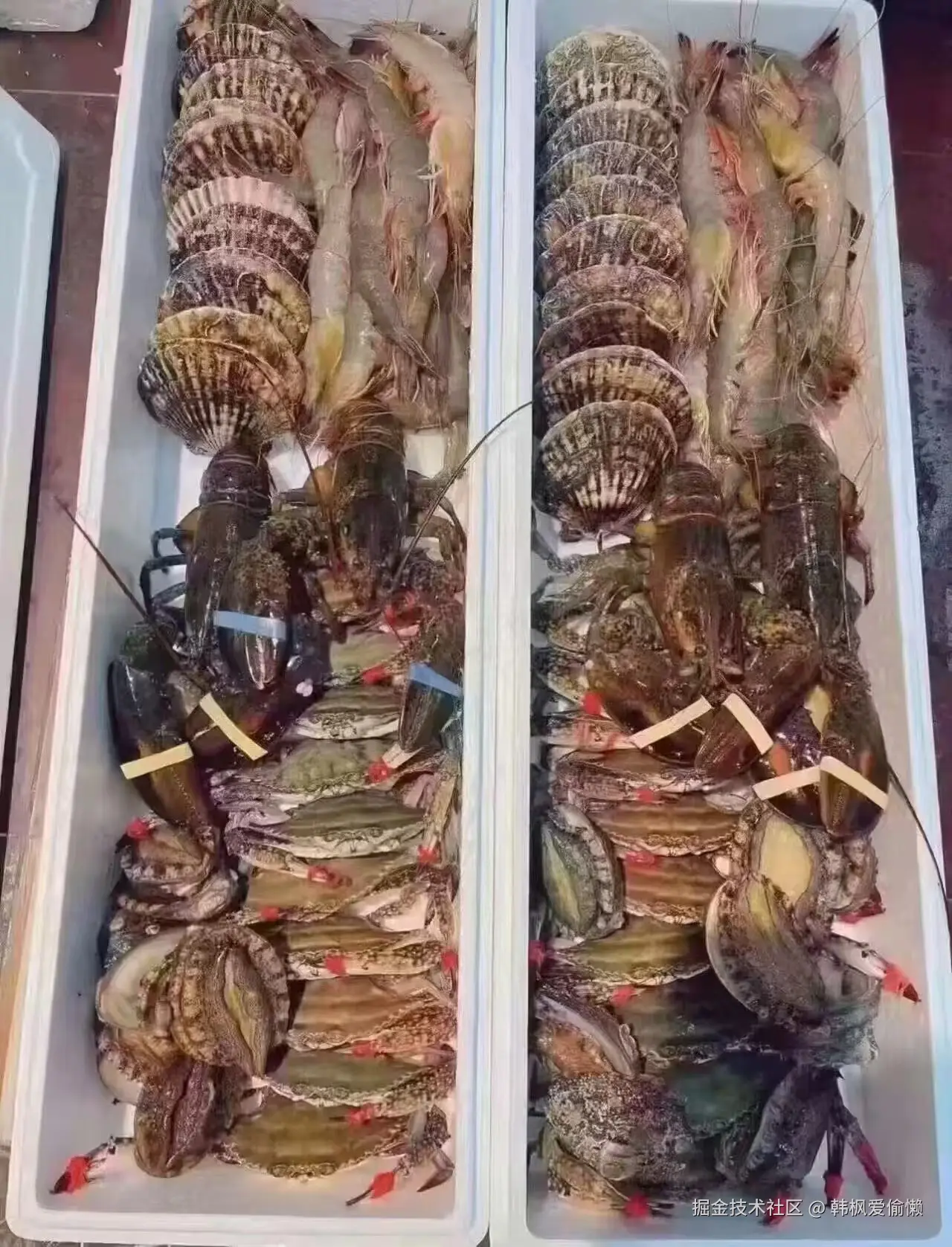 韩枫爱偷懒于2024-09-09 16:20发布的图片