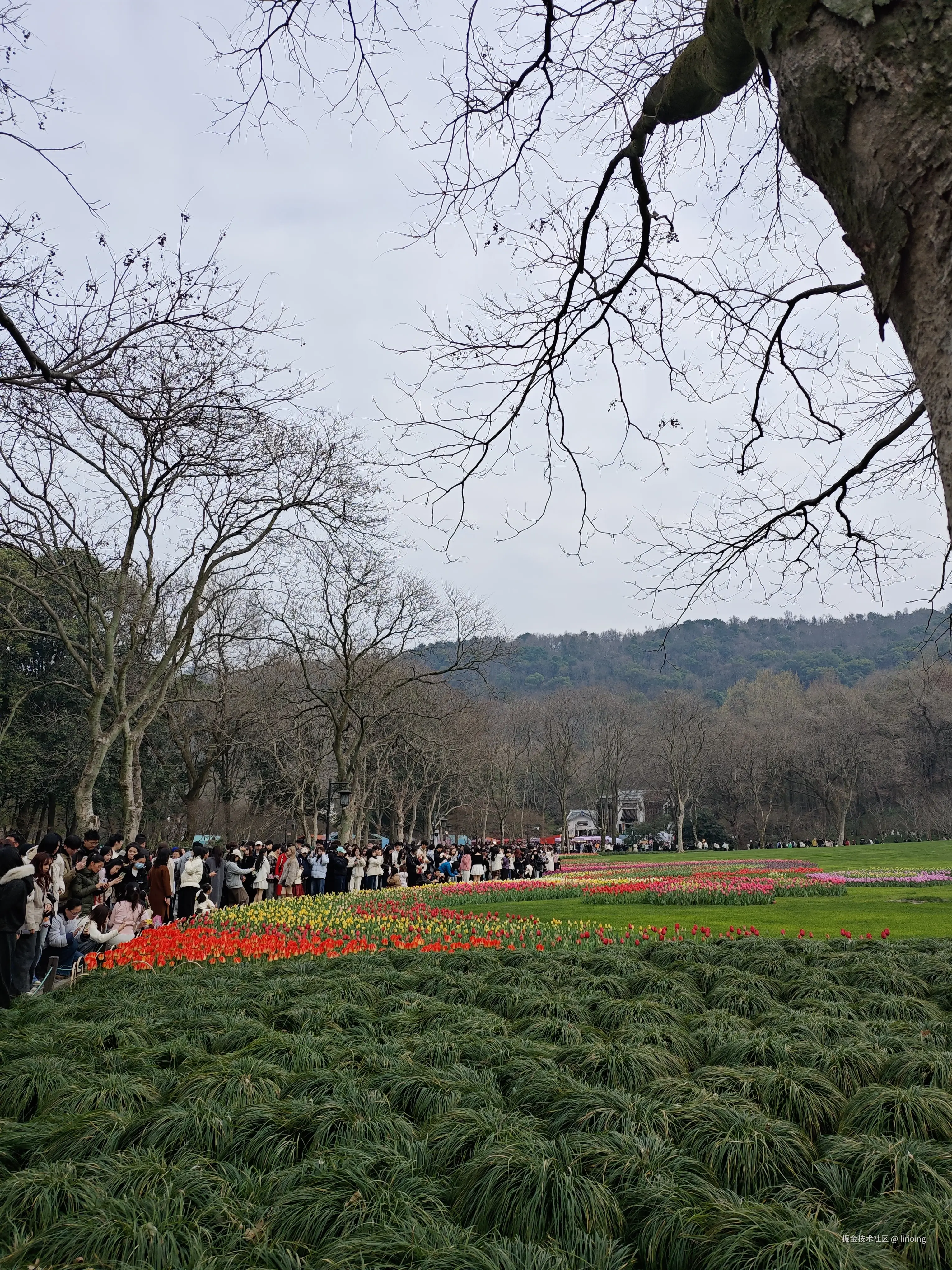 lirioing于2026-03-09 09:49发布的图片