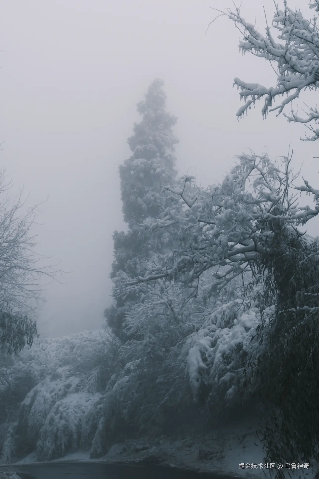 乌鲁神奇于2026-02-09 10:12发布的图片