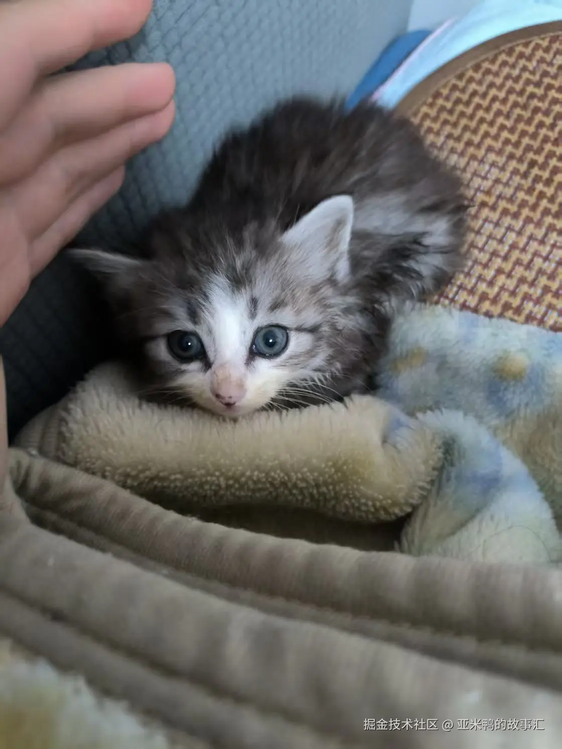 亚米鸭的故事汇于2025-04-21 13:04发布的图片