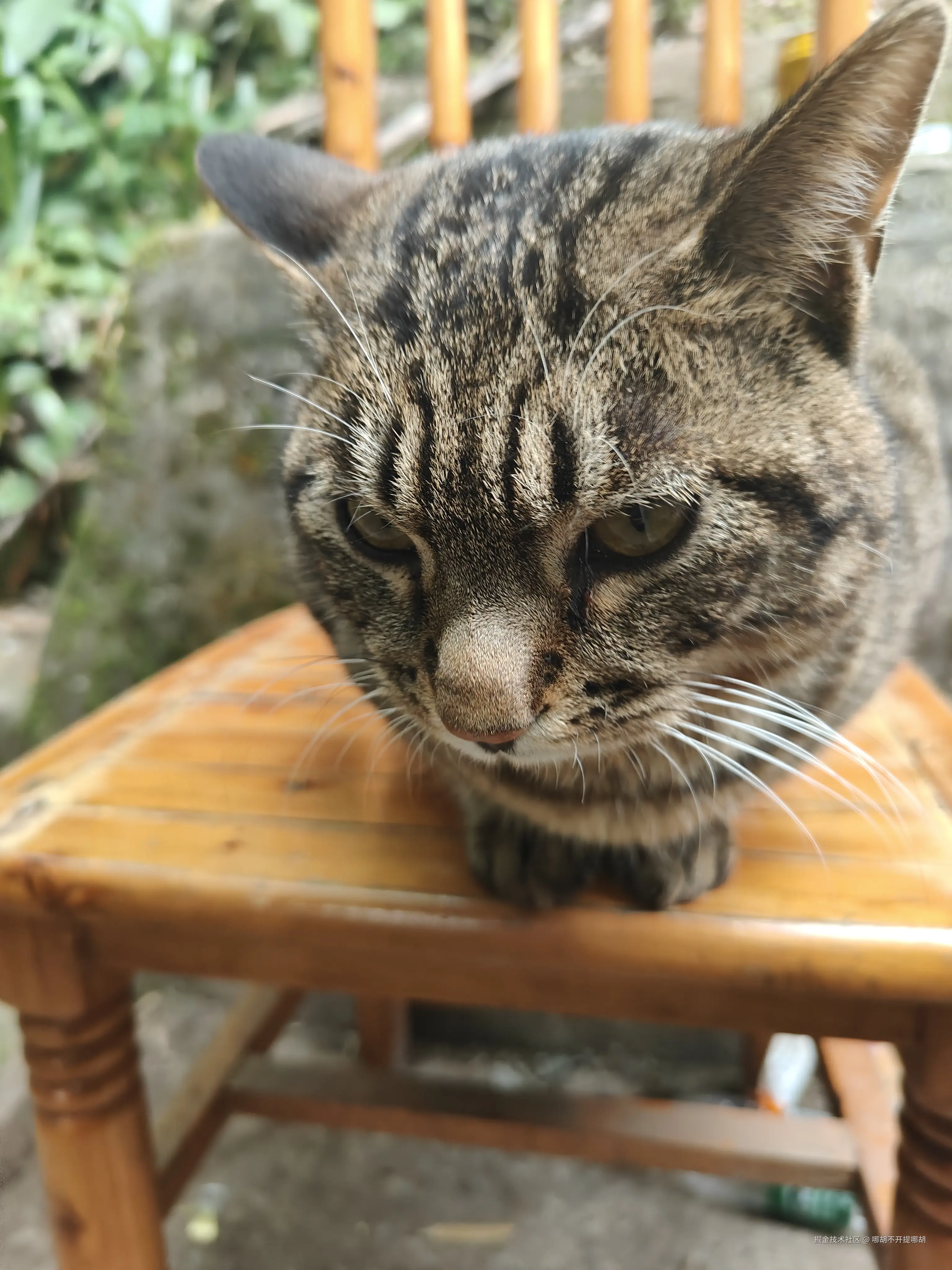 哪胡不开提哪胡于2025-04-07 08:49发布的图片