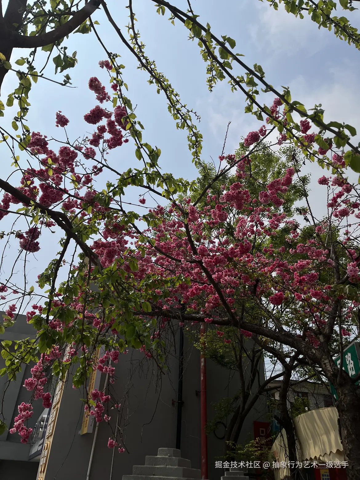 抽象行为艺术一级选手于2026-03-11 11:06发布的图片