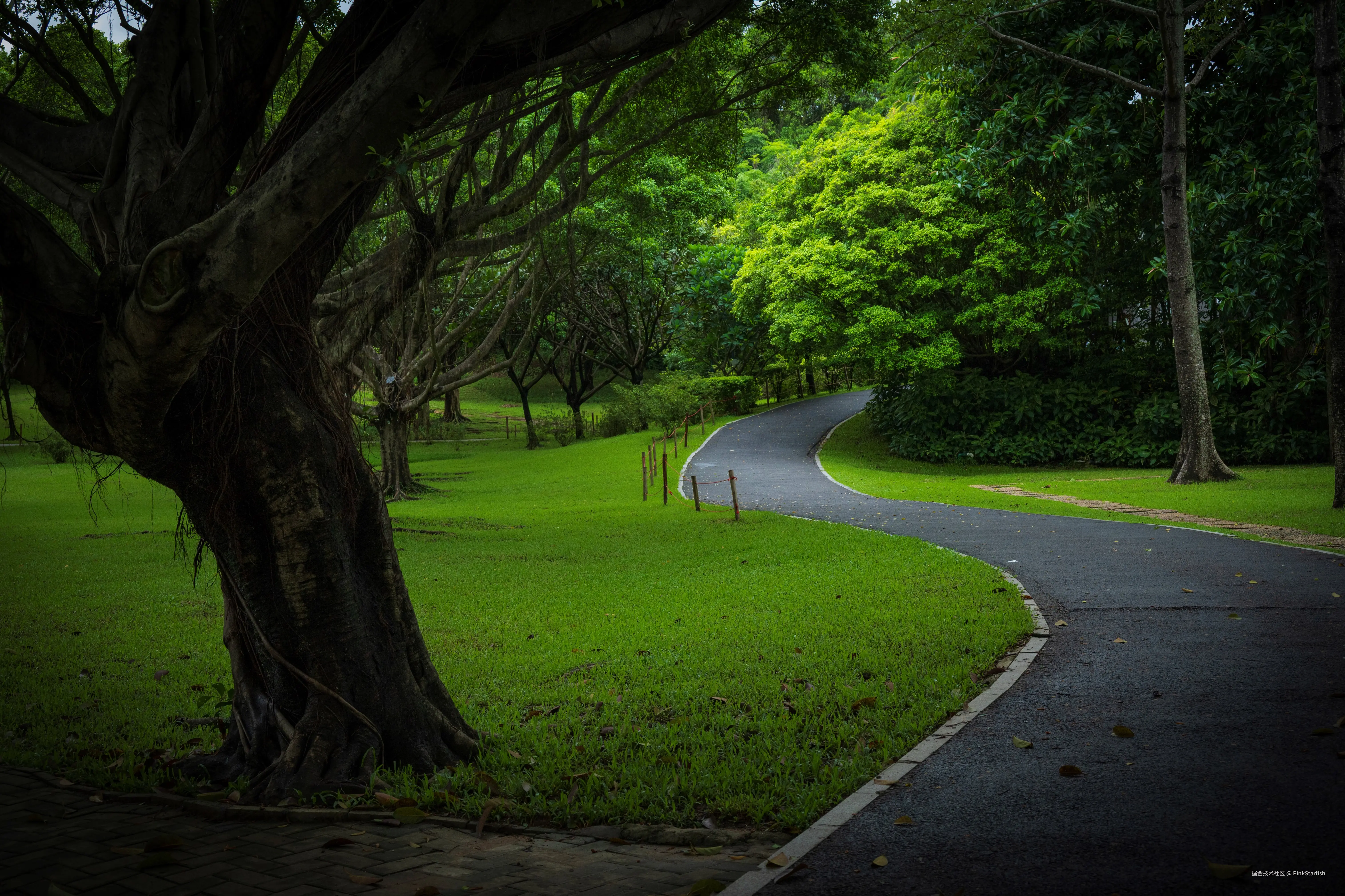 PinkStarfish于2025-07-02 11:30发布的图片