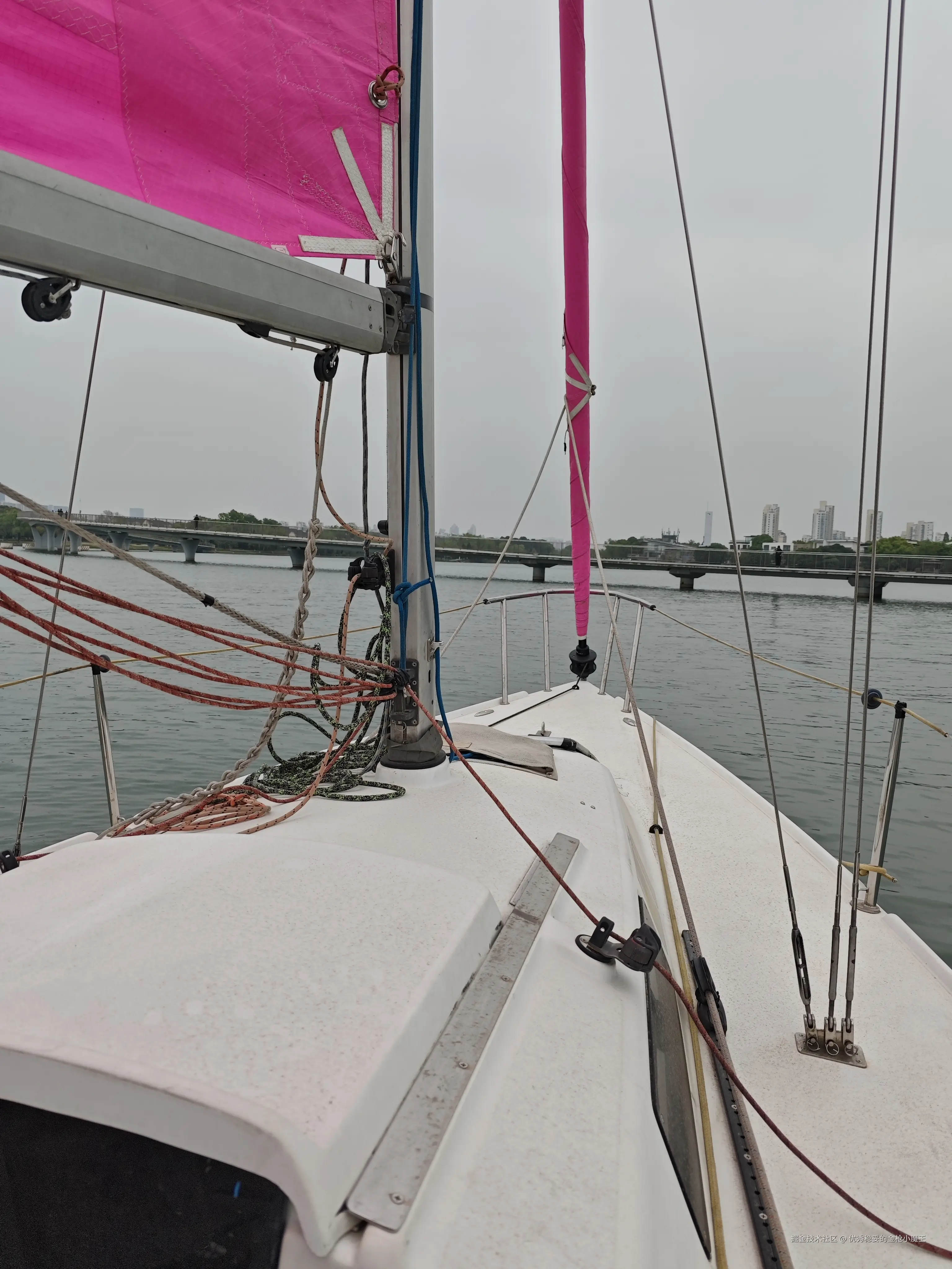 优秀稳妥的金枪小魔王于2025-04-16 07:05发布的图片