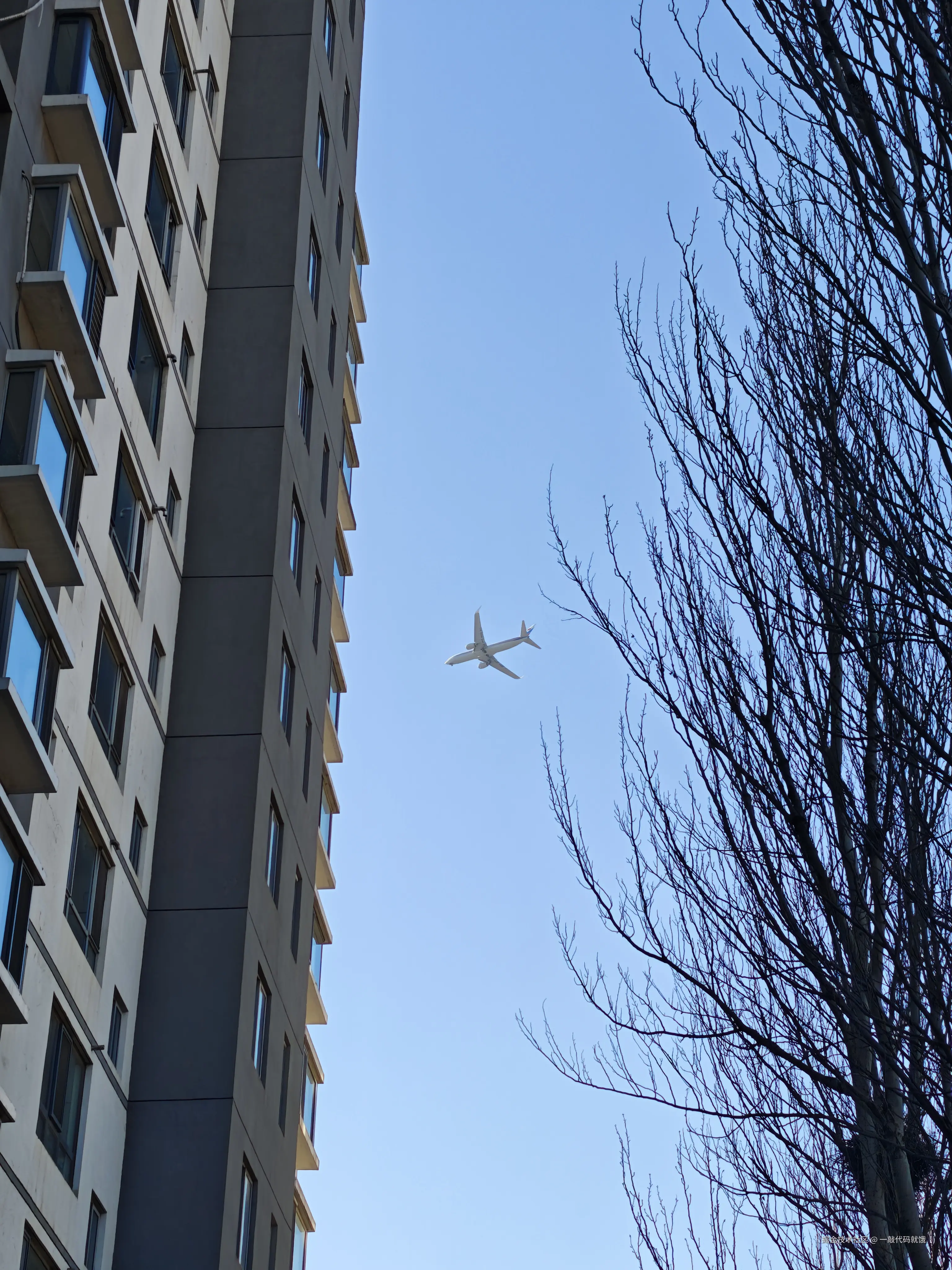 一敲代码就饿于2025-01-03 17:50发布的图片