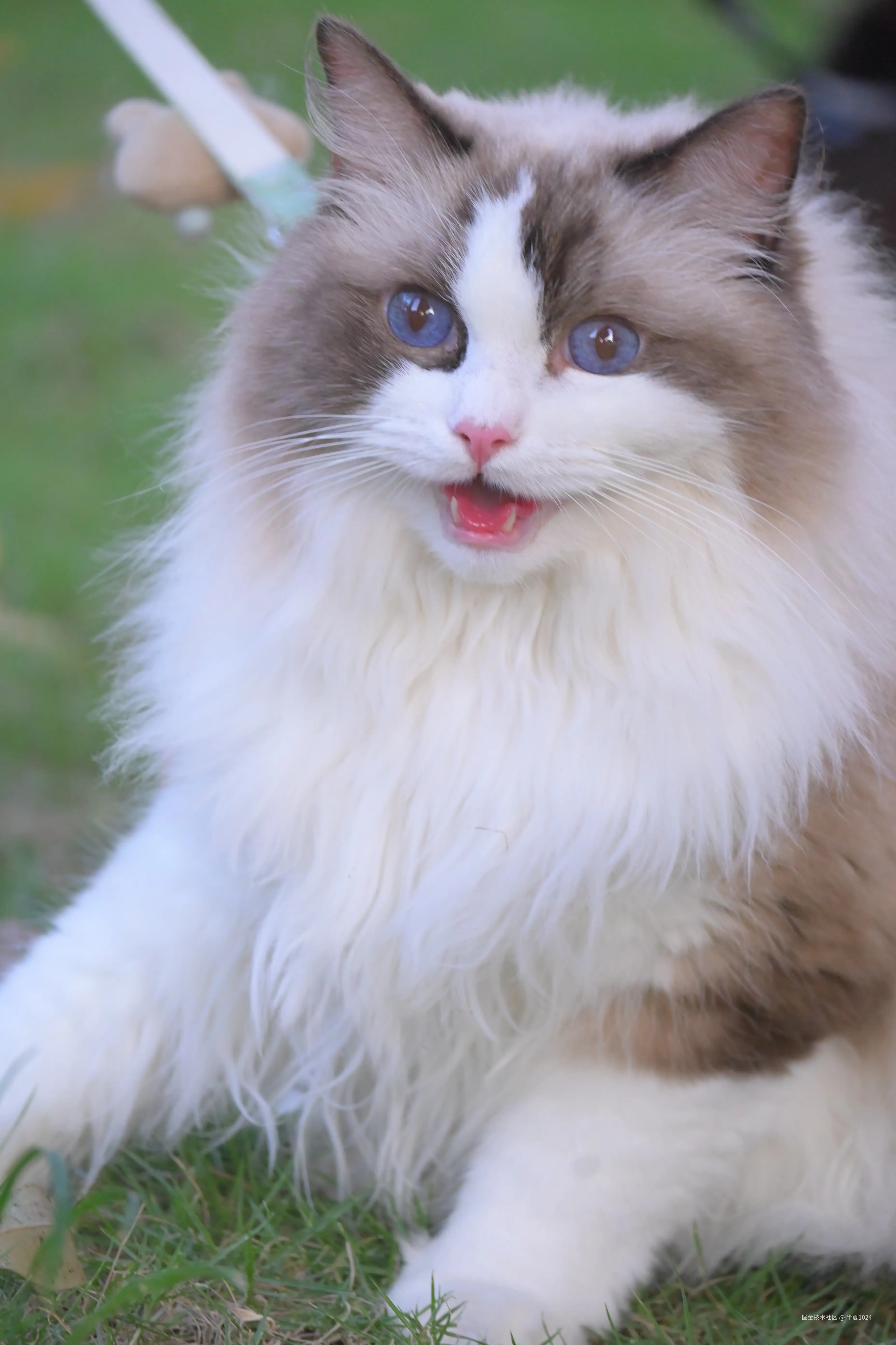 半夏1024于2025-09-15 09:23发布的图片