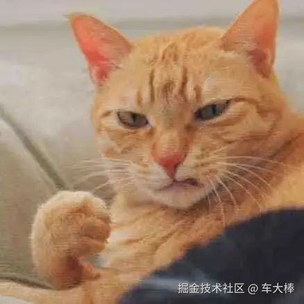 车大棒于2025-07-10 17:08发布的图片