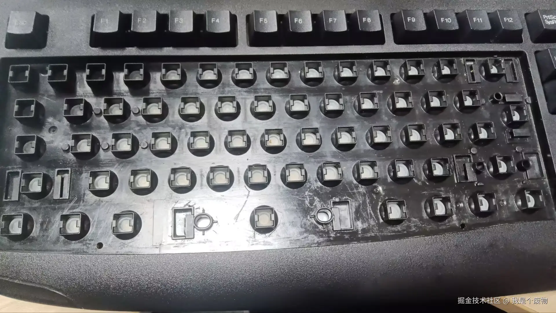 我是个废物于2026-02-12 15:11发布的图片