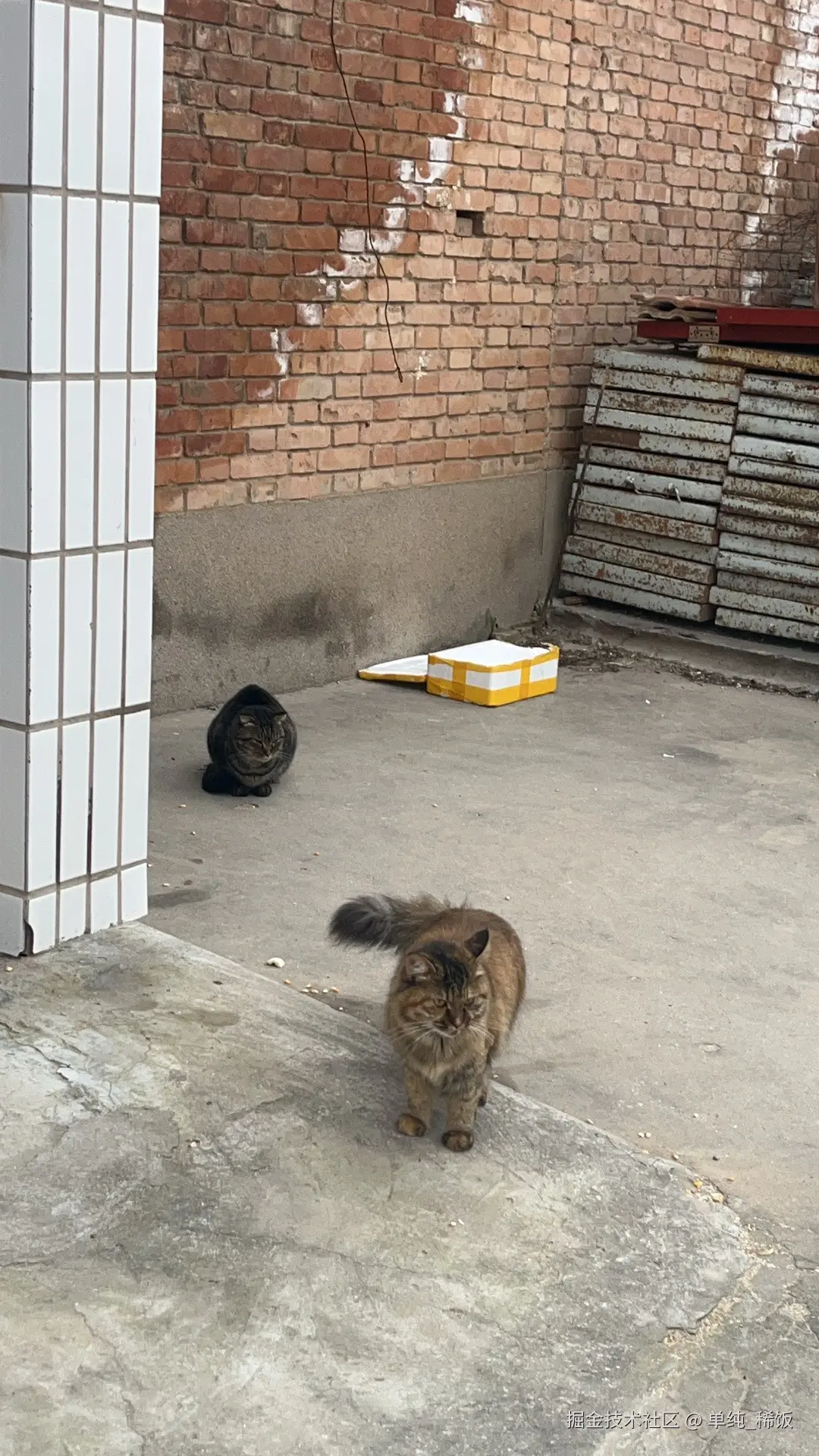 单纯_稀饭于2025-11-05 08:44发布的图片