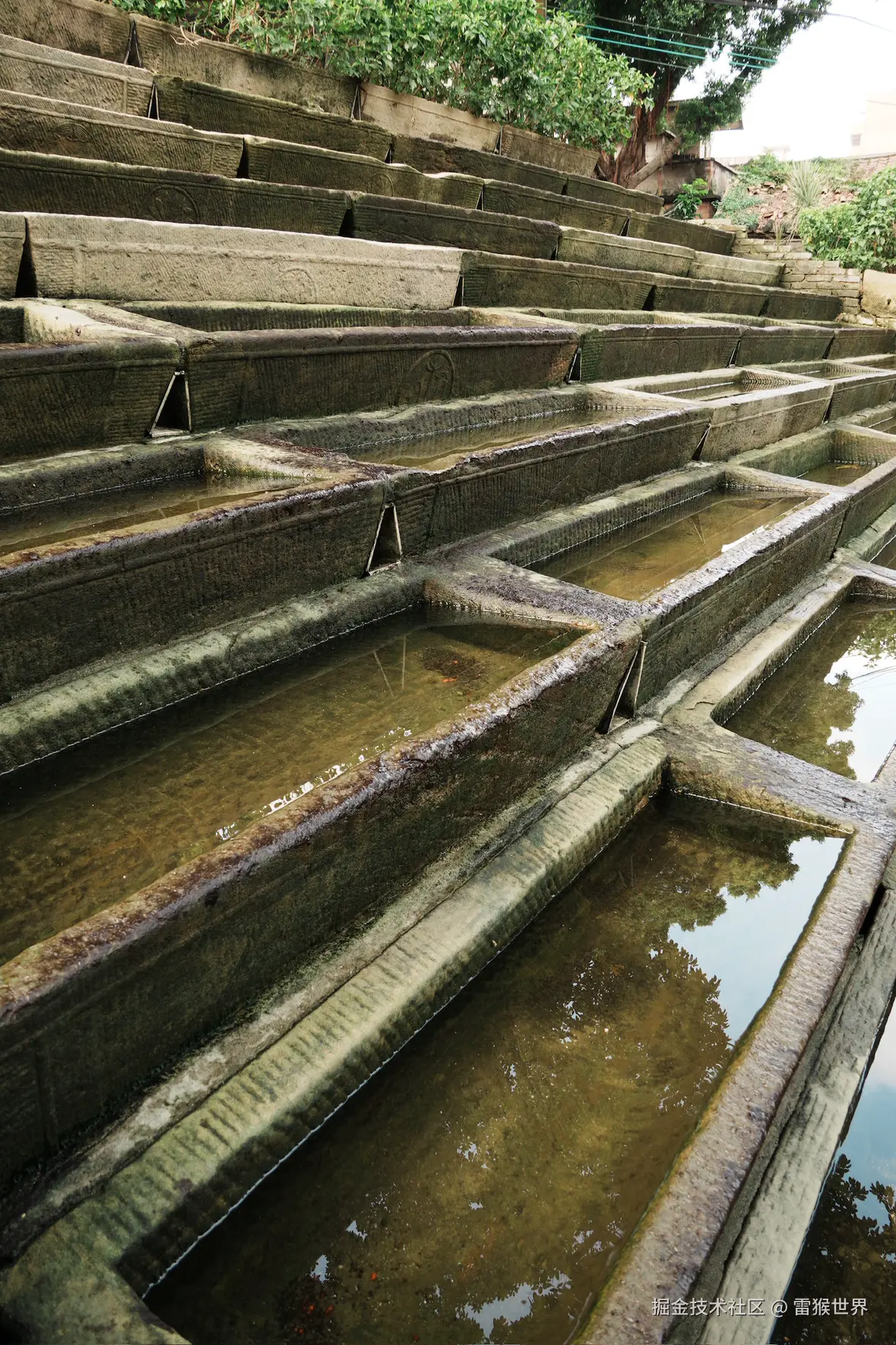 雷猴世界于2025-10-23 14:39发布的图片