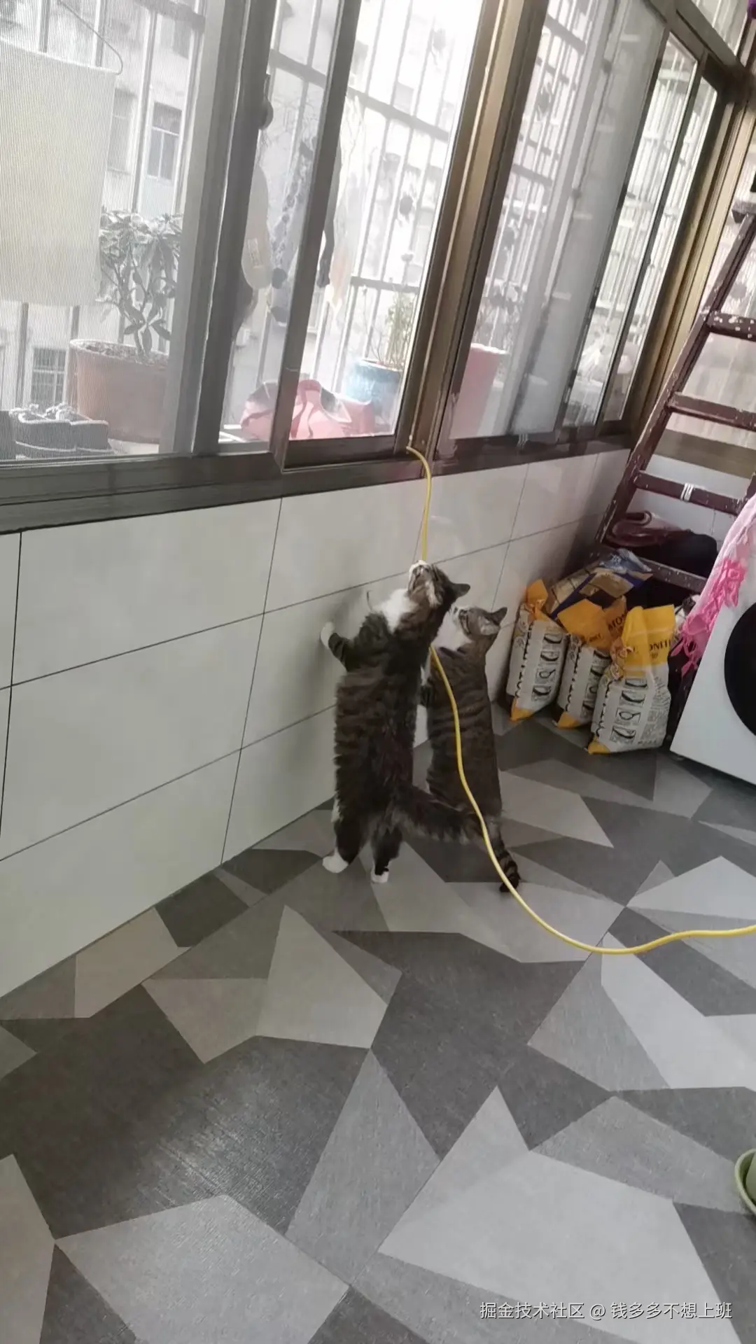 钱多多不想上班于2026-03-03 11:31发布的图片