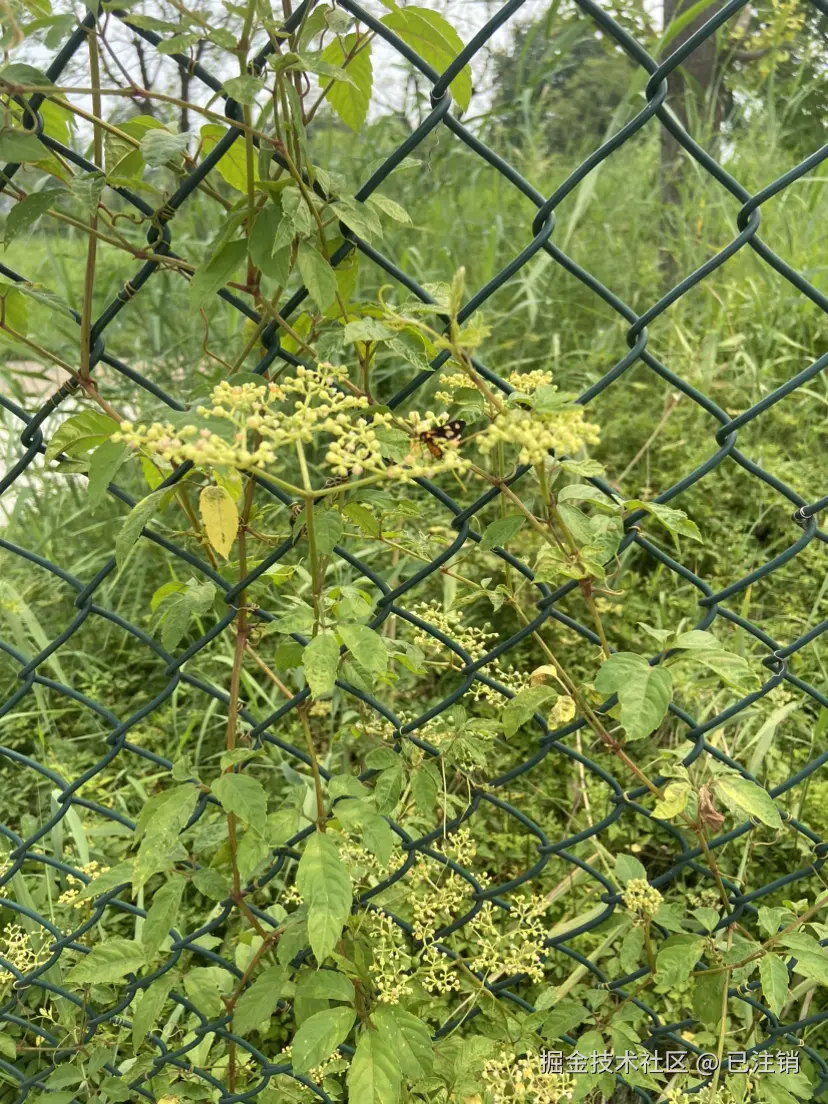 已注销于2024-08-14 10:53发布的图片