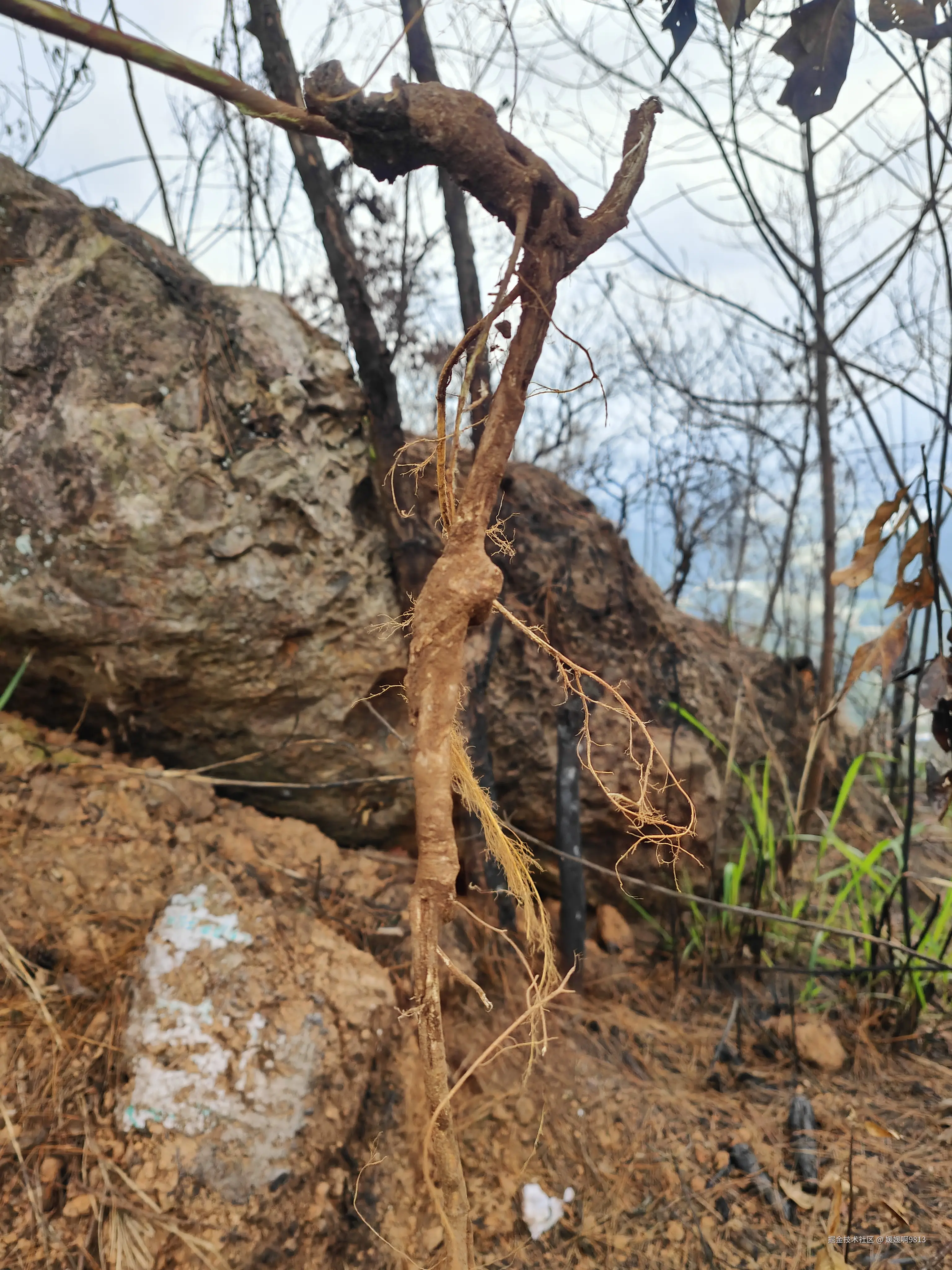 媛媛啊9813于2026-02-22 22:04发布的图片