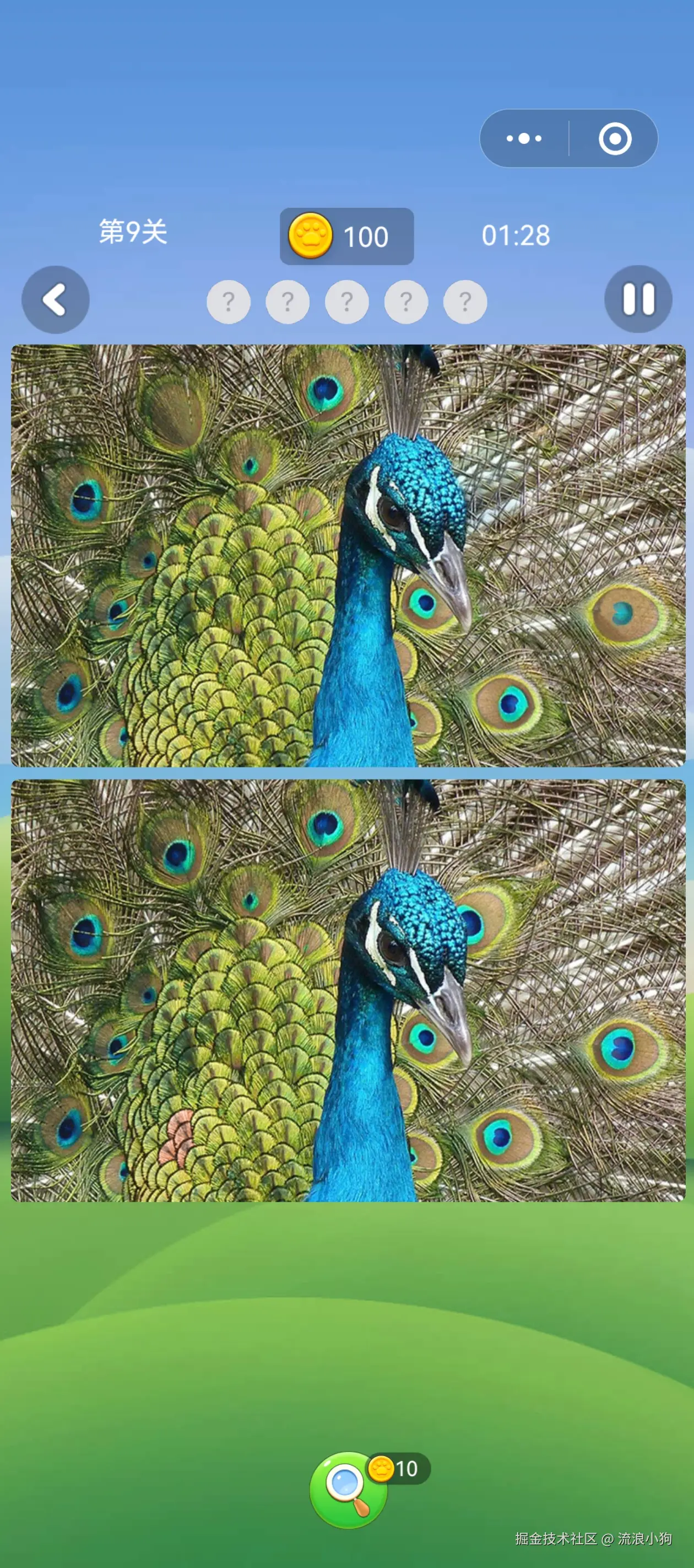 流浪小狗于2024-11-25 15:28发布的图片