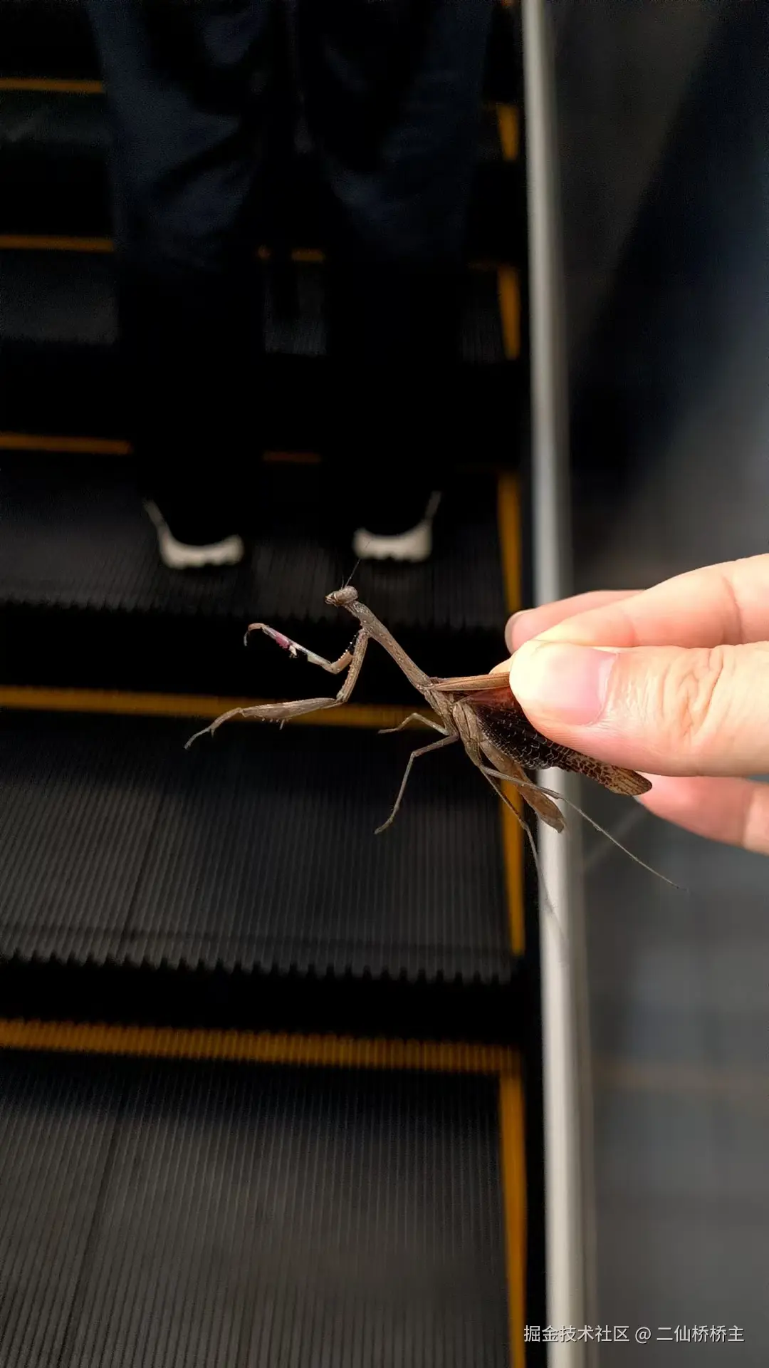 二仙桥桥主于2025-08-19 08:58发布的图片